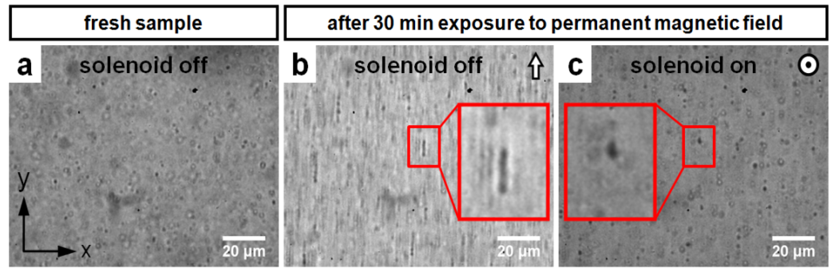 Applsci 07 00444 g004