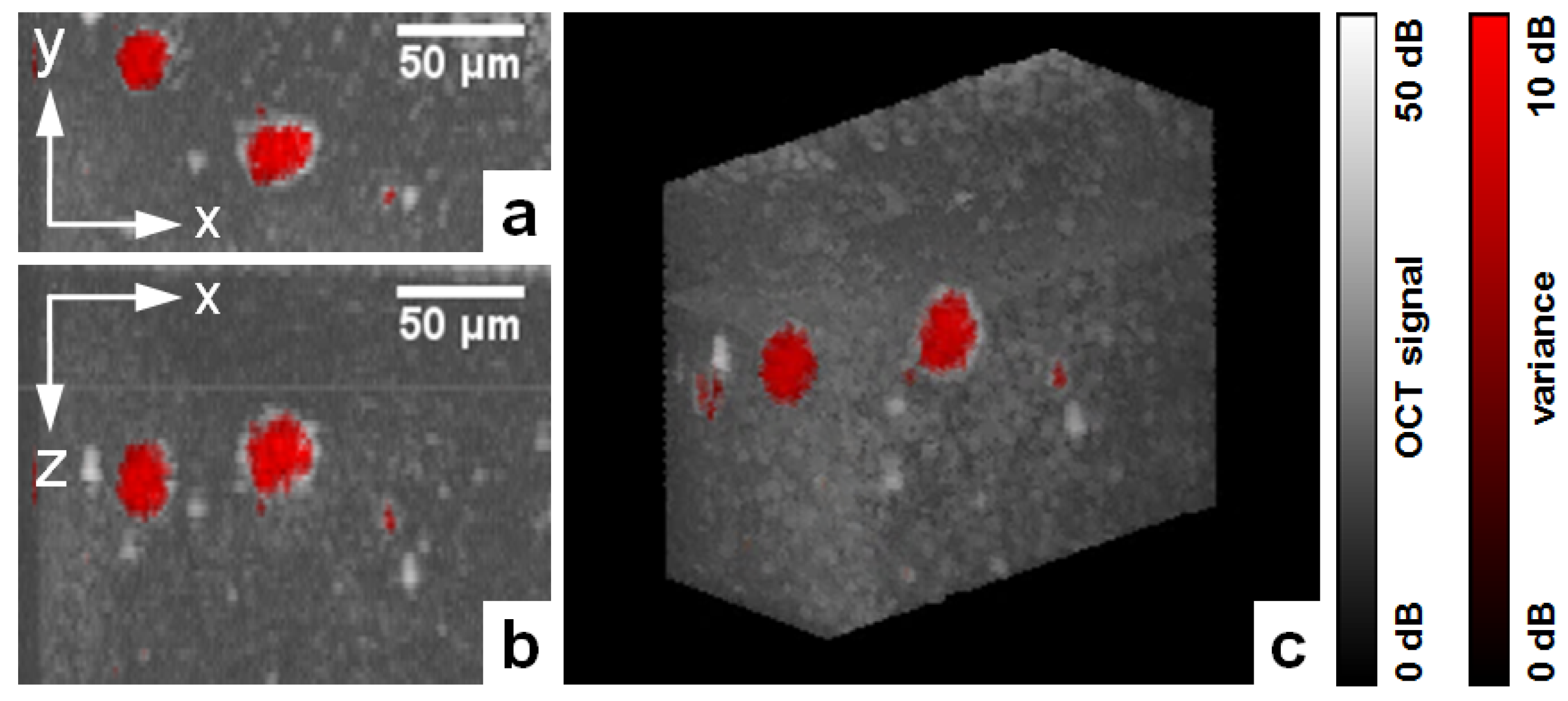 Applsci 07 00444 g007