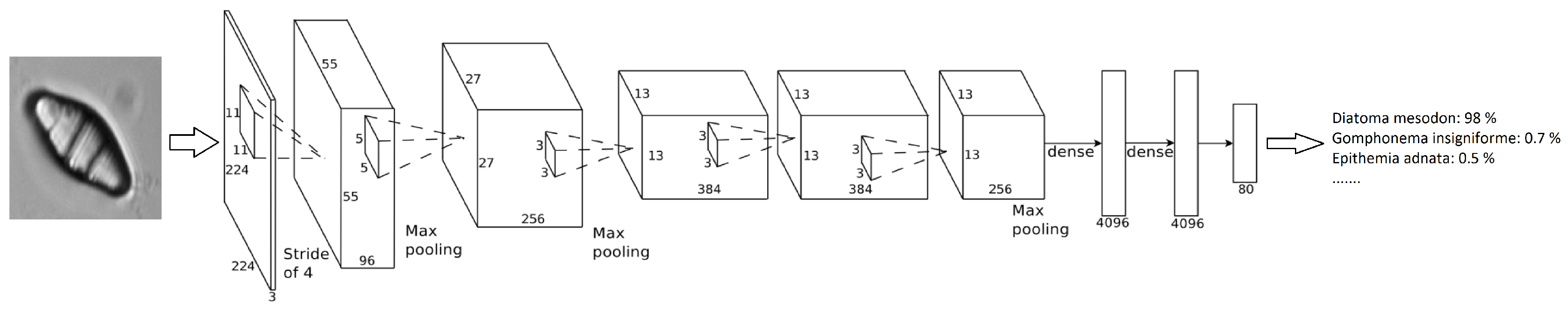 Applsci 07 00460 g004 550