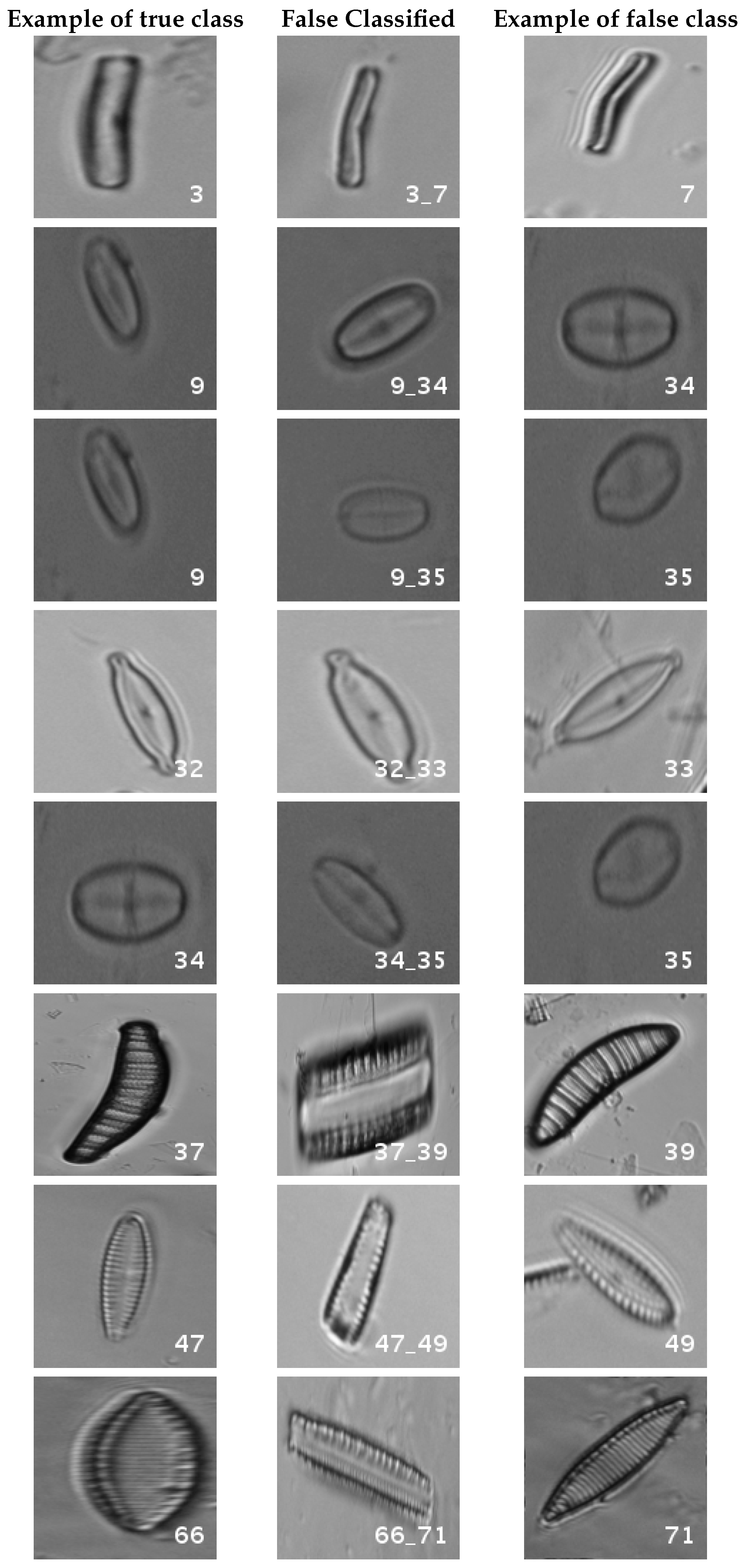 Applsci 07 00460 g008 550