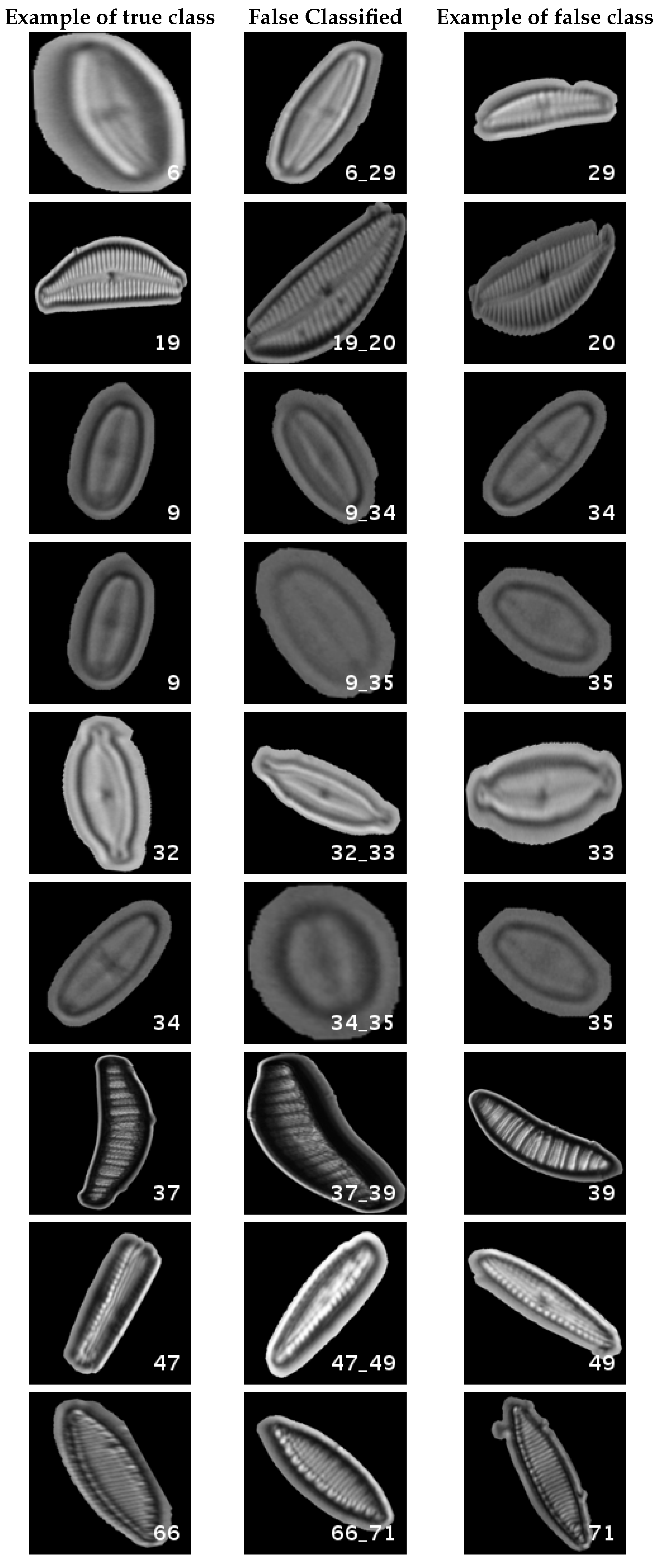Applsci 07 00460 g012 550