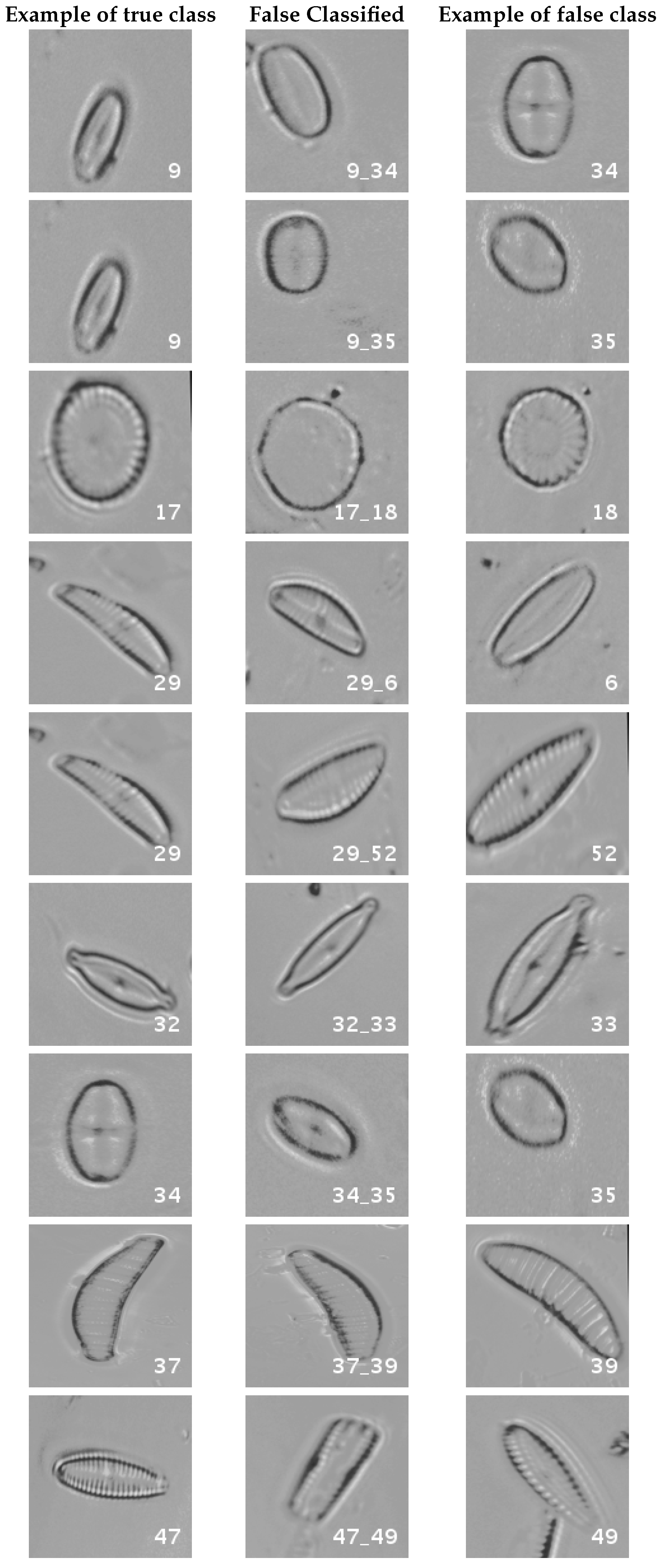 Applsci 07 00460 g016 550