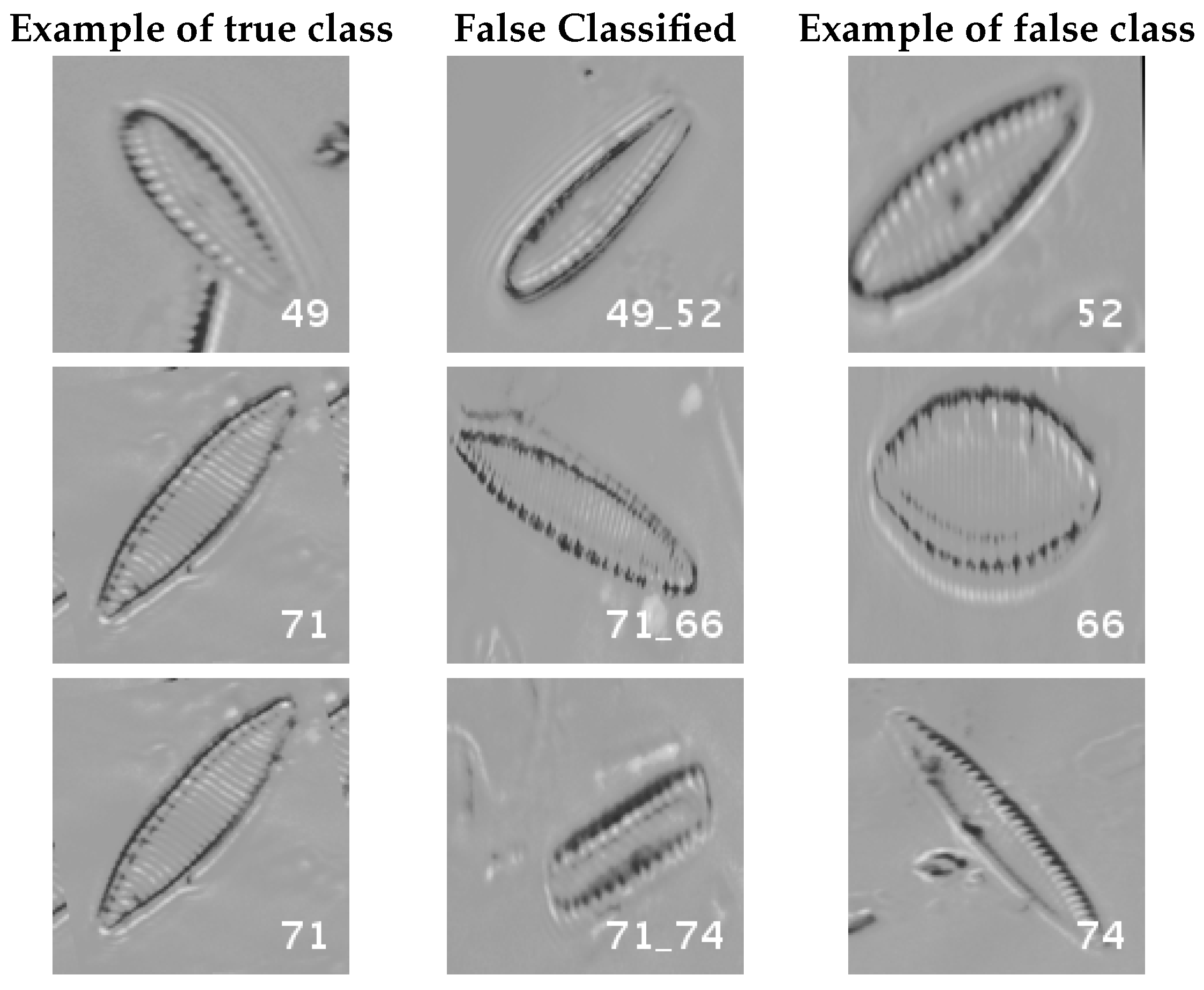 Applsci 07 00460 g017 550
