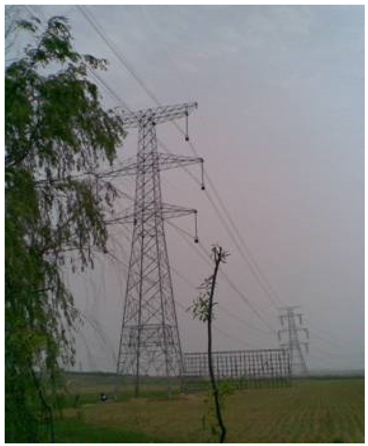 Applsci 07 00477 g002 550