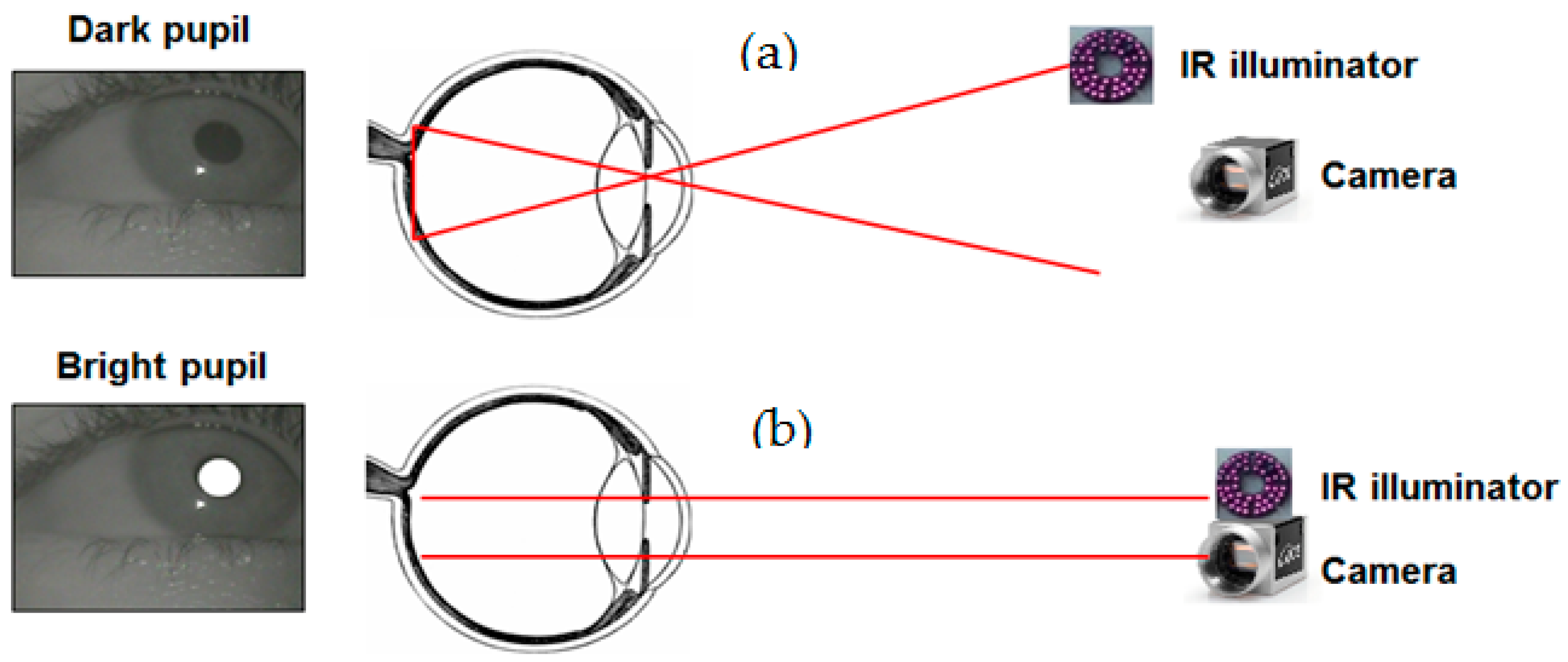 Applsci 07 00498 g002 550