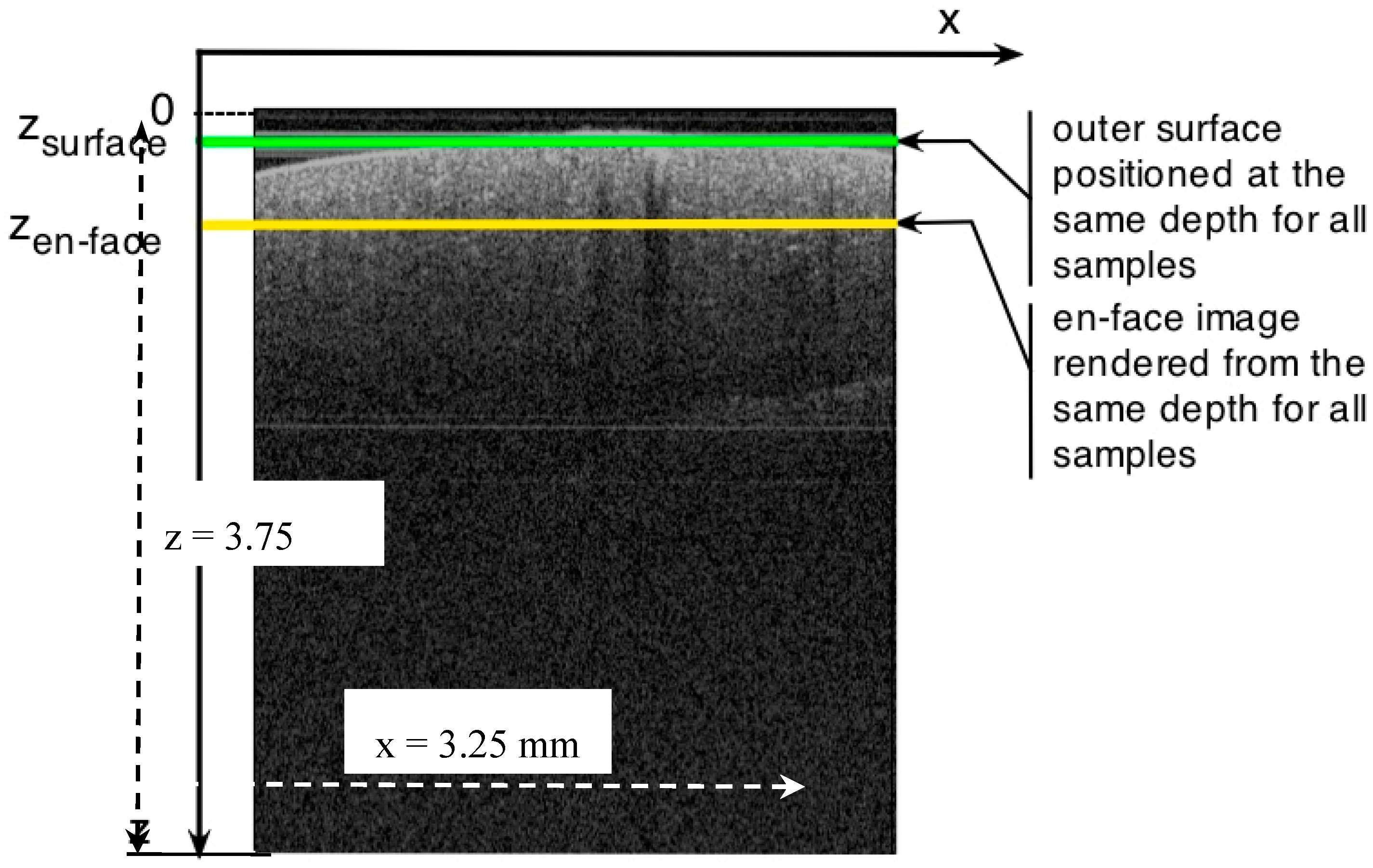 Applsci 07 00552 g003 550