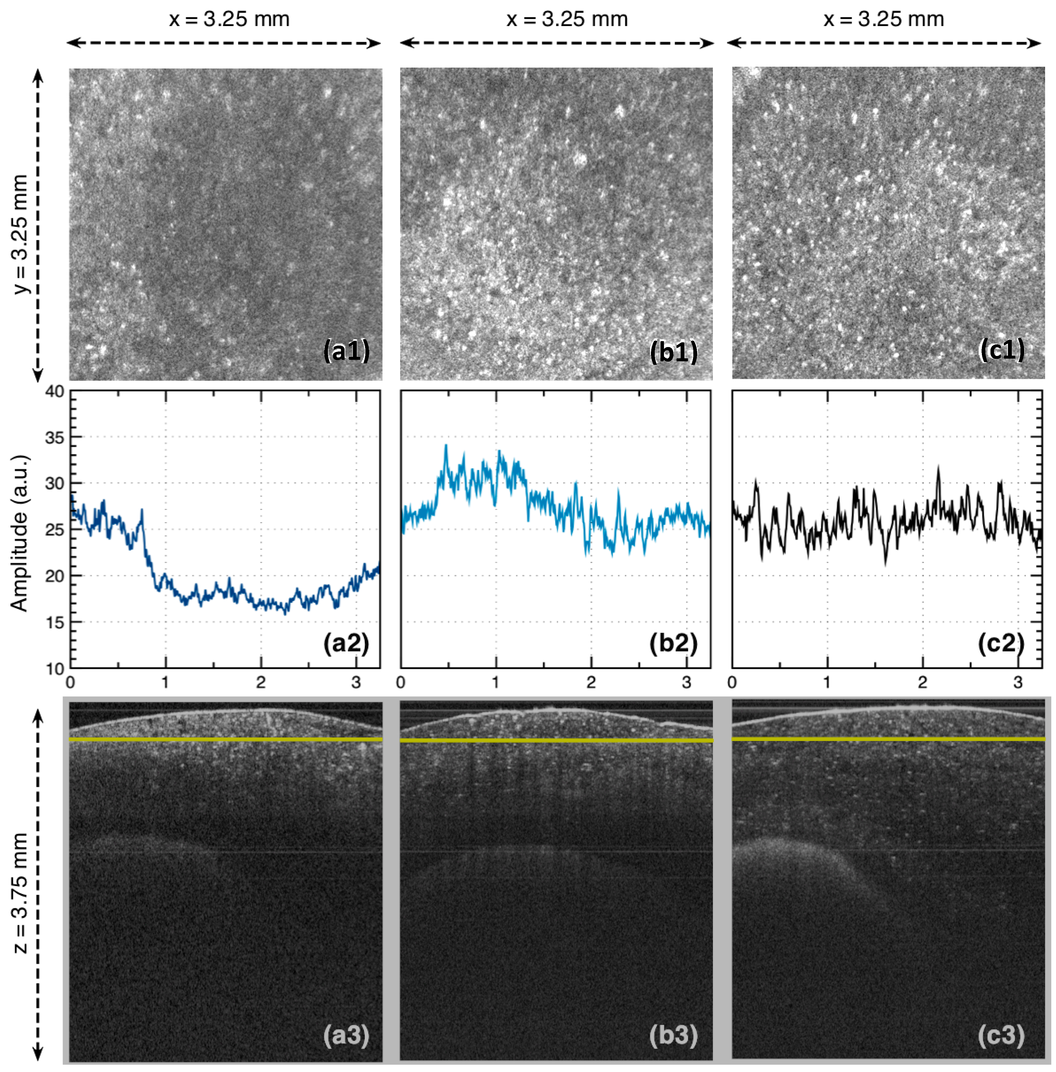 Applsci 07 00552 g004 550