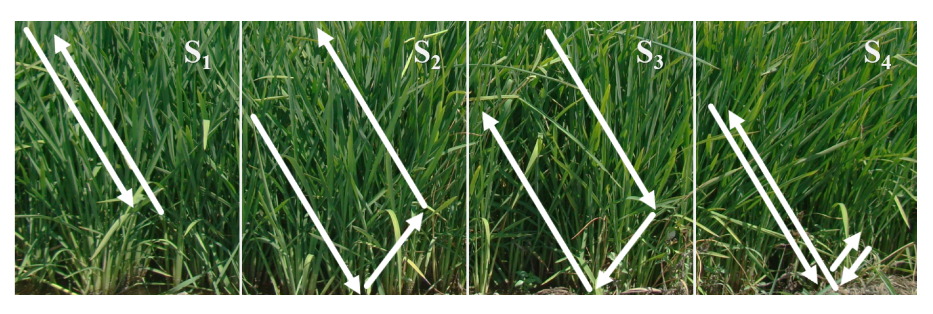 Applsci 07 00602 g002 550