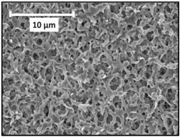 Applsci 07 00637 i007