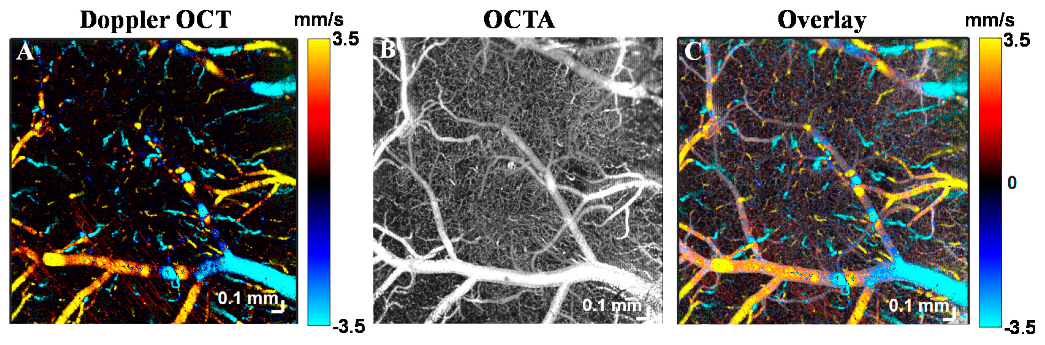 Applsci 07 00687 g005 Applsci 07 00687 g005