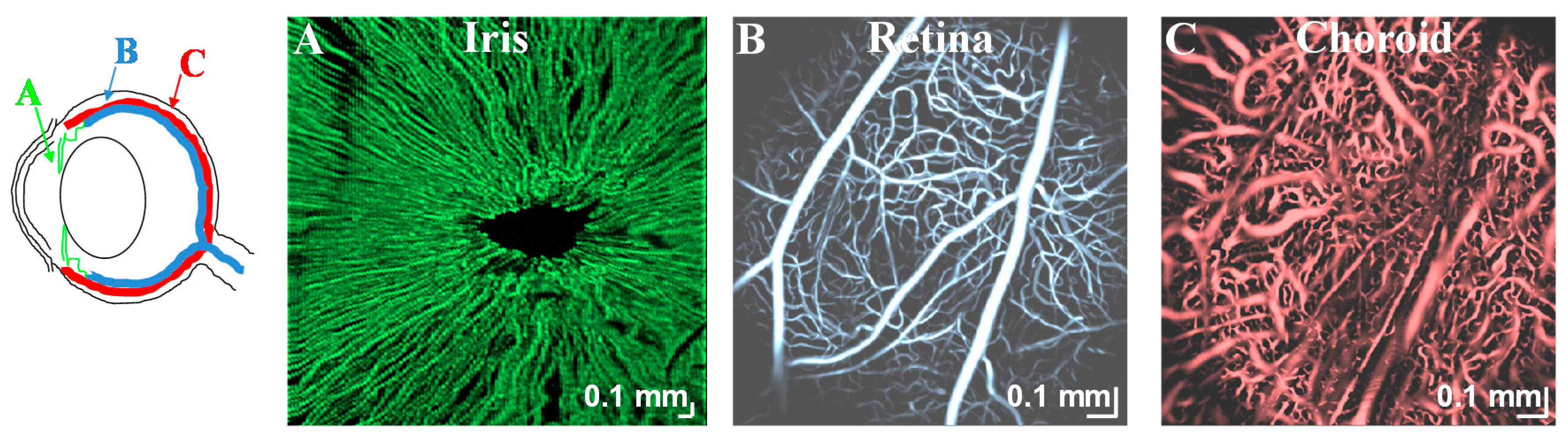 Applsci 07 00687 g008 Applsci 07 00687 g008