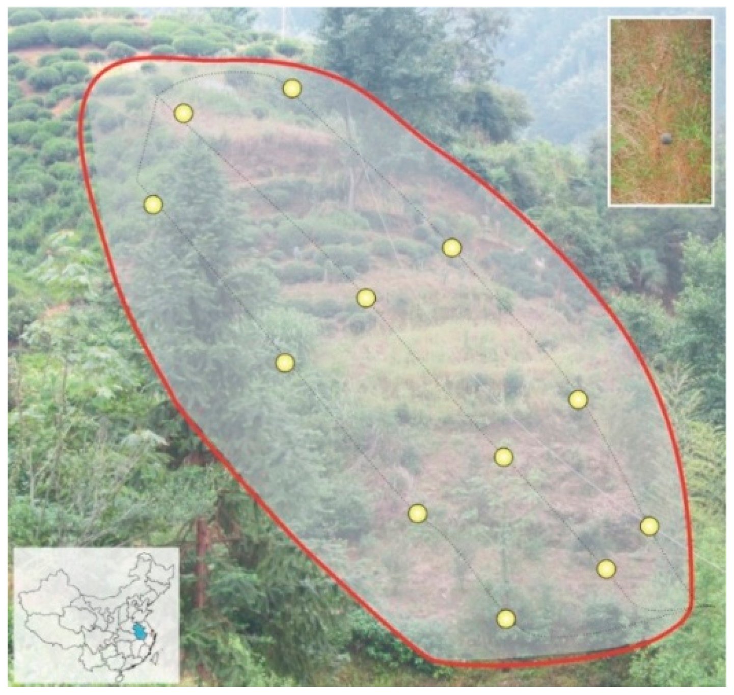 Applsci 07 00699 g010