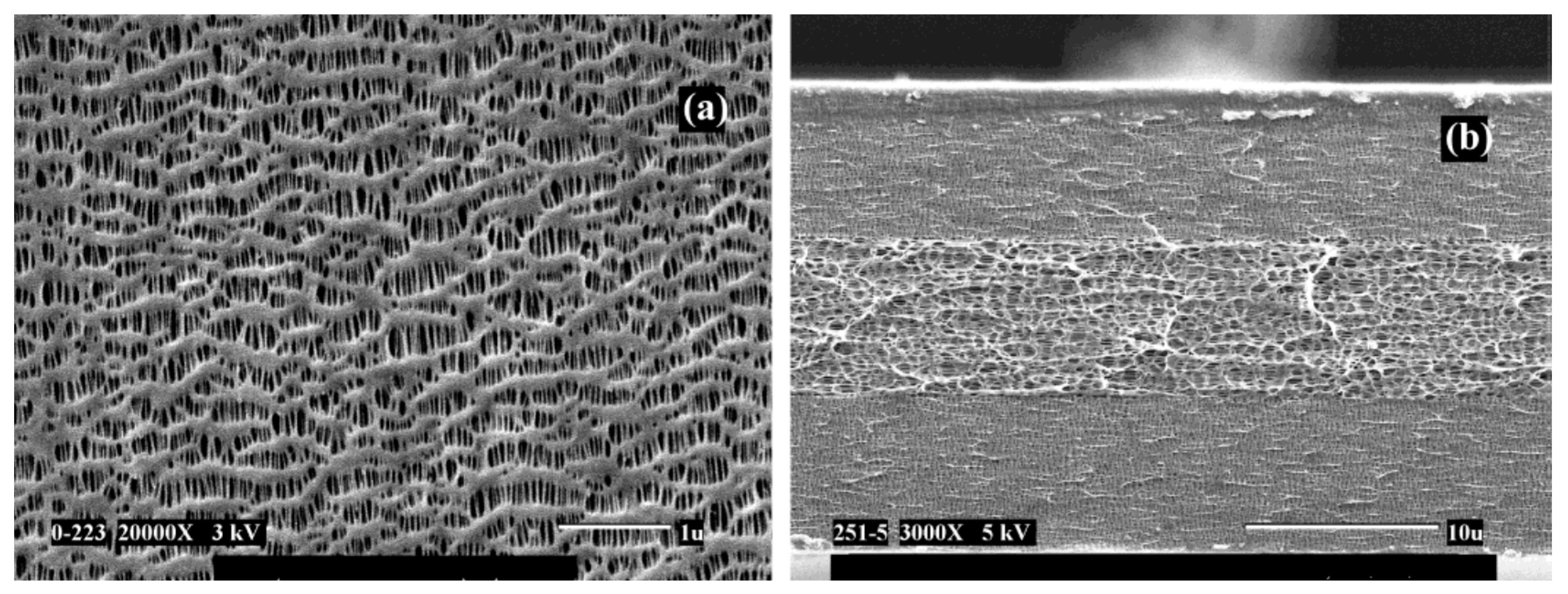 Applsci 07 00731 g016