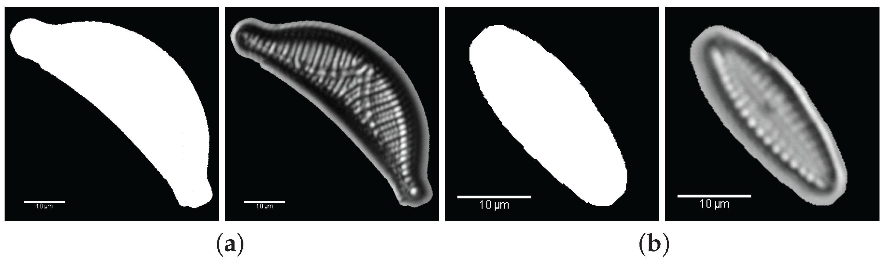 Applsci 07 00753 g004