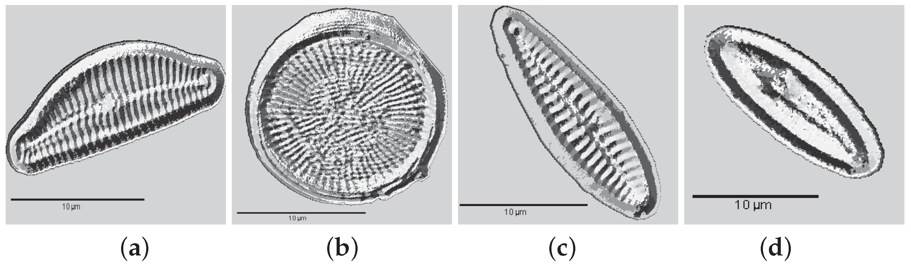 Applsci 07 00753 g005