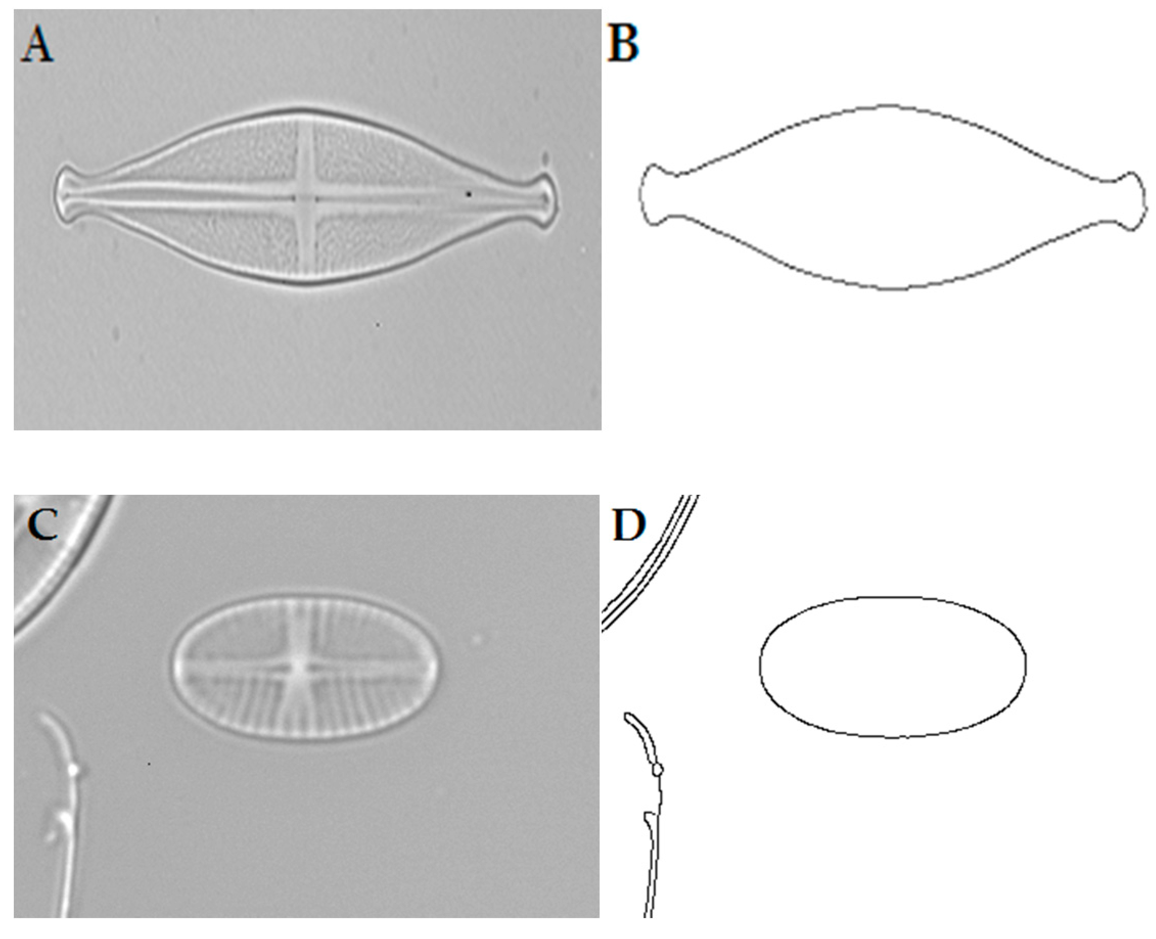 Applsci 07 00762 g004 550