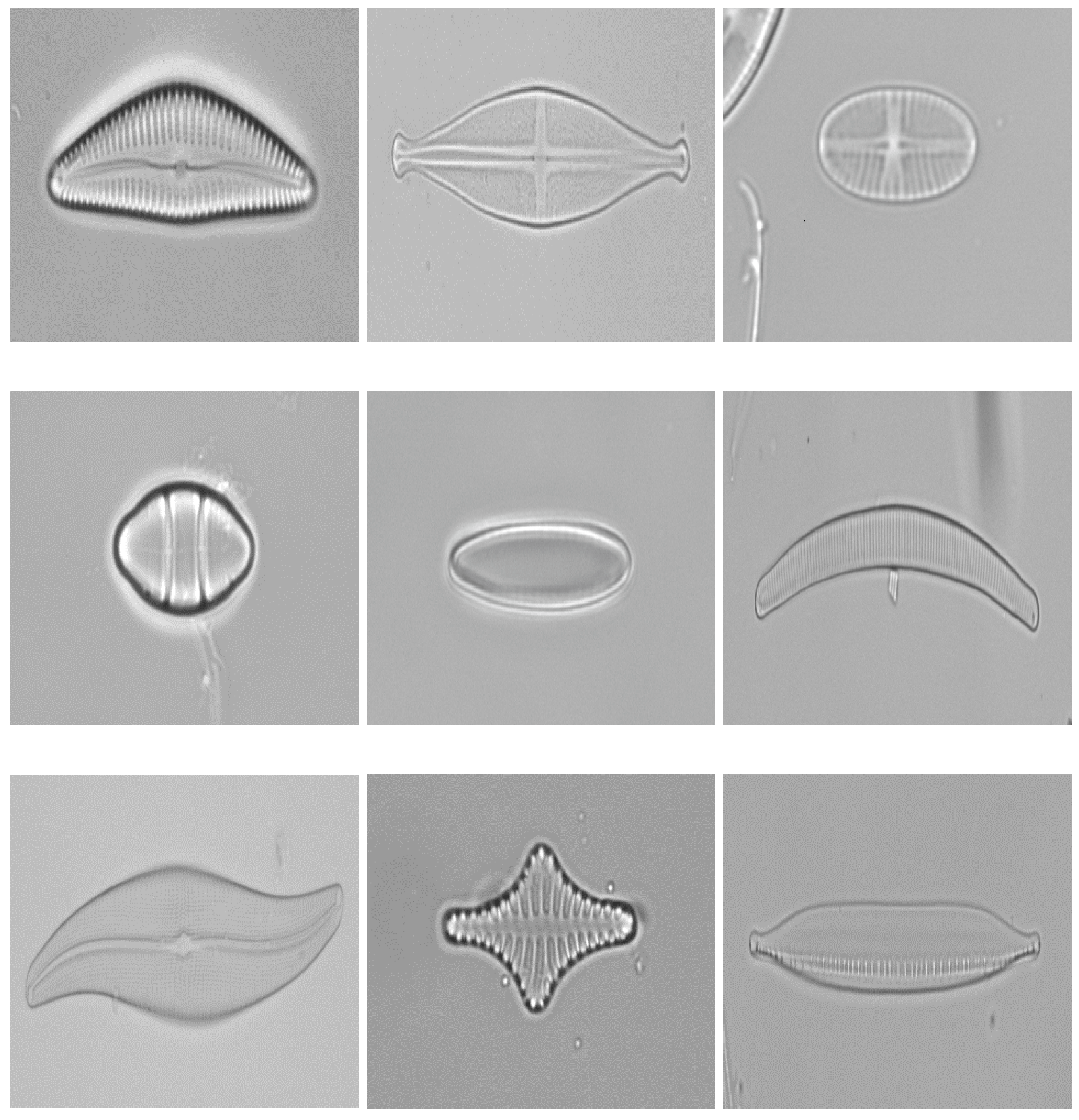 Applsci 07 00762 g005 550