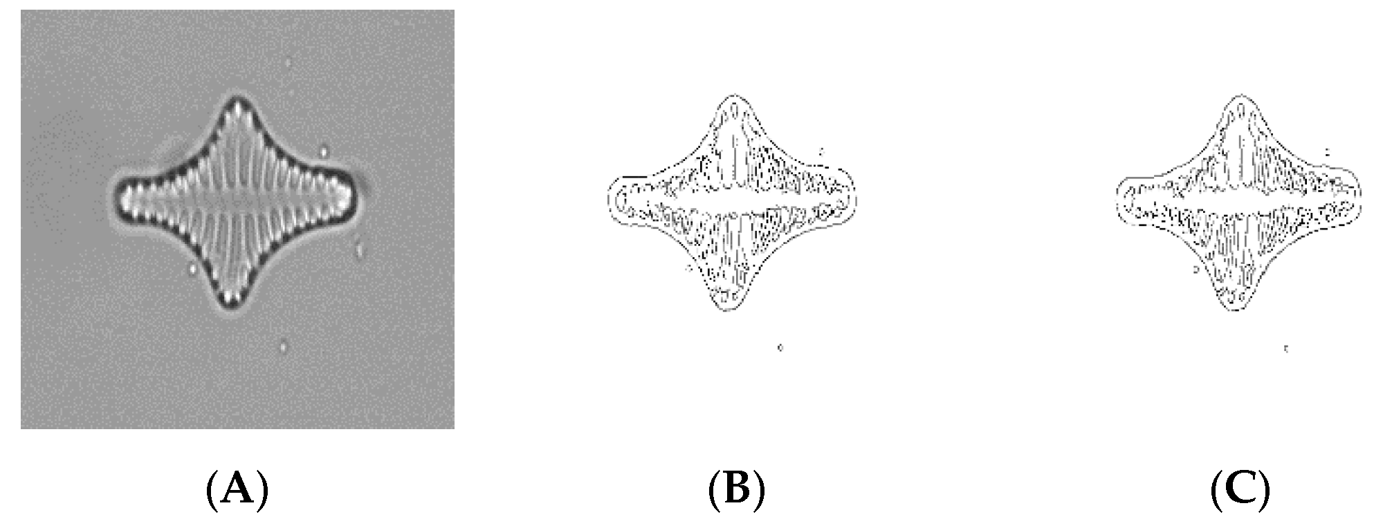 Applsci 07 00762 g006b 550
