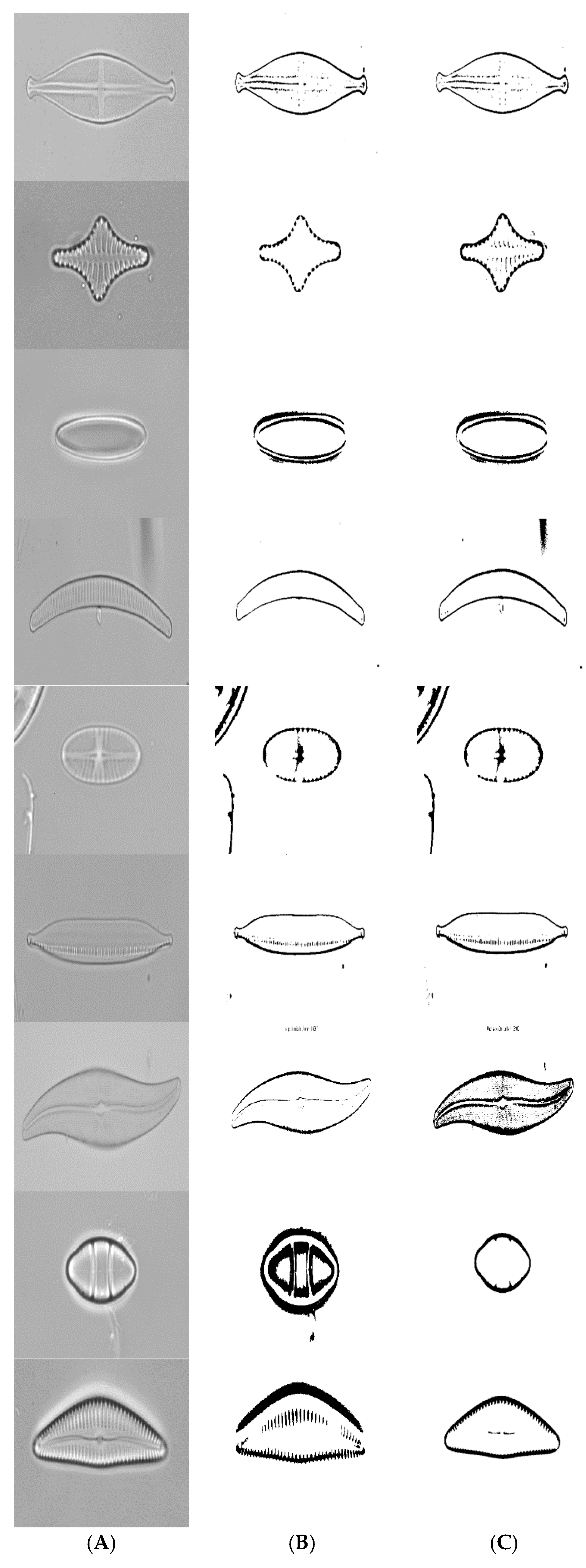 Applsci 07 00762 g009 550