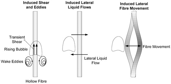 The Performance and Fouling Control of Submerged Hollow