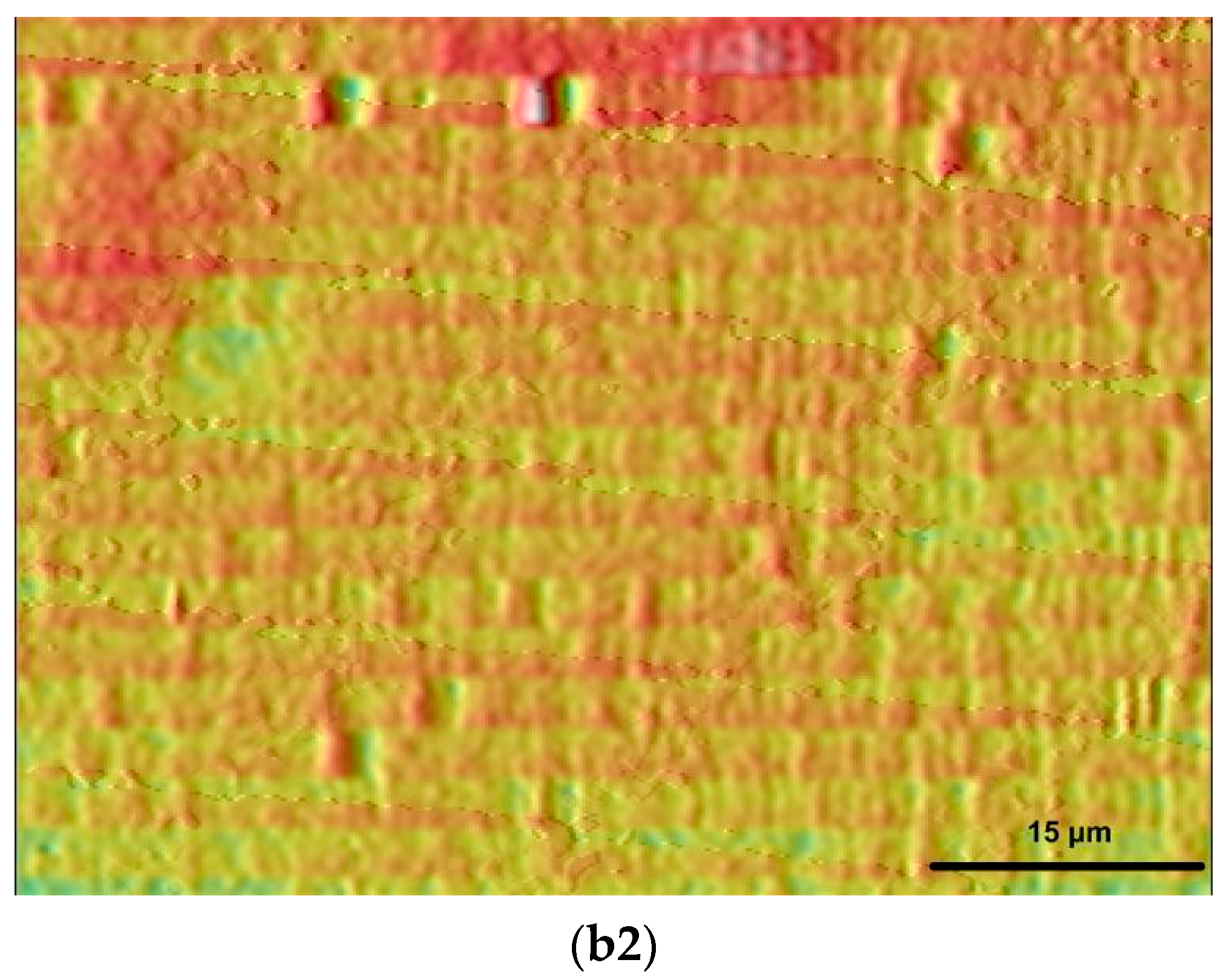 Applsci 07 00848 g001b 550