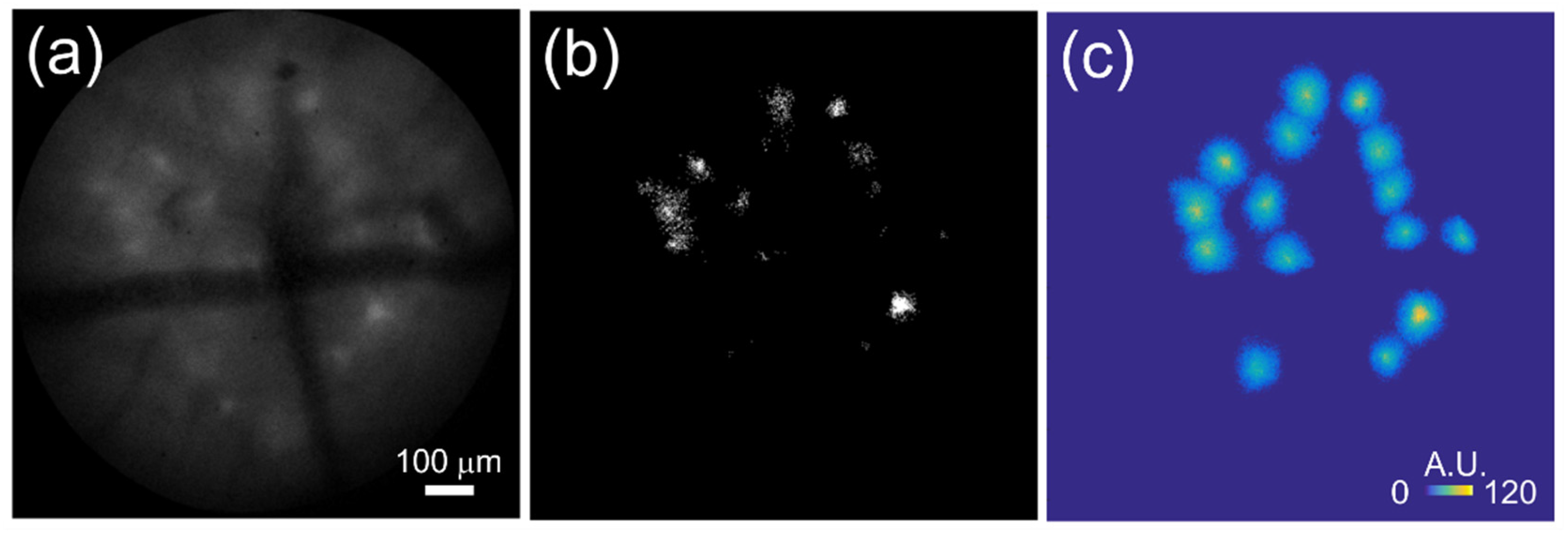 Applsci 07 00858 g002