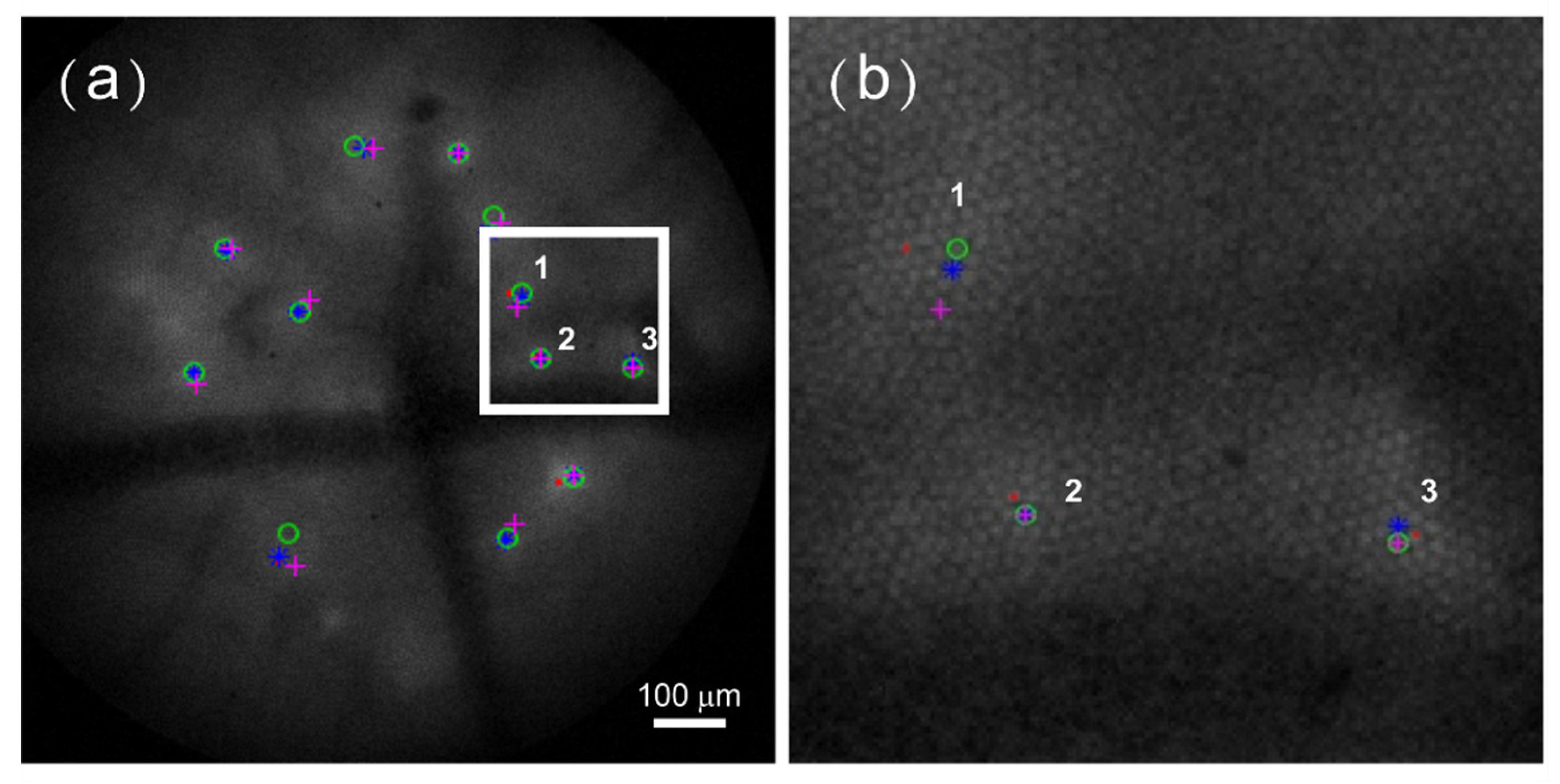 Applsci 07 00858 g004