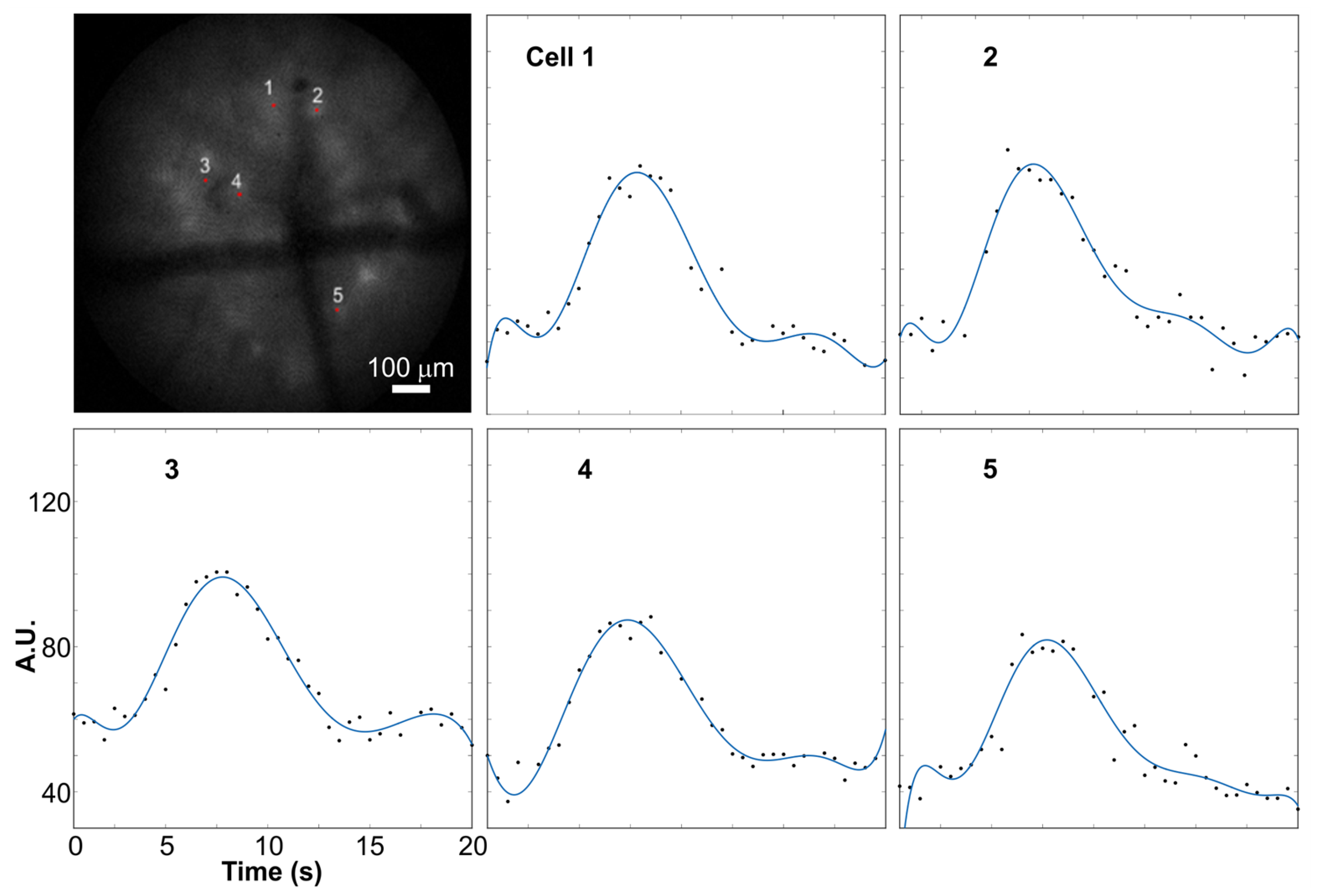 Applsci 07 00858 g005