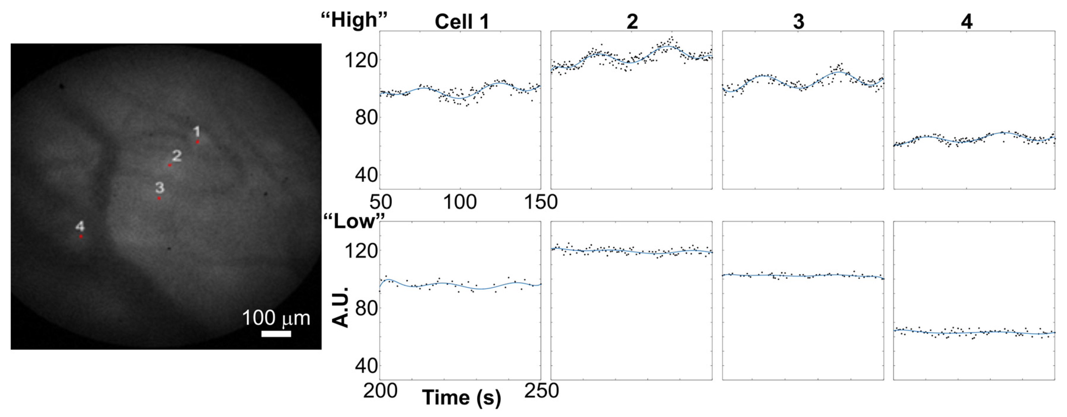 Applsci 07 00858 g006