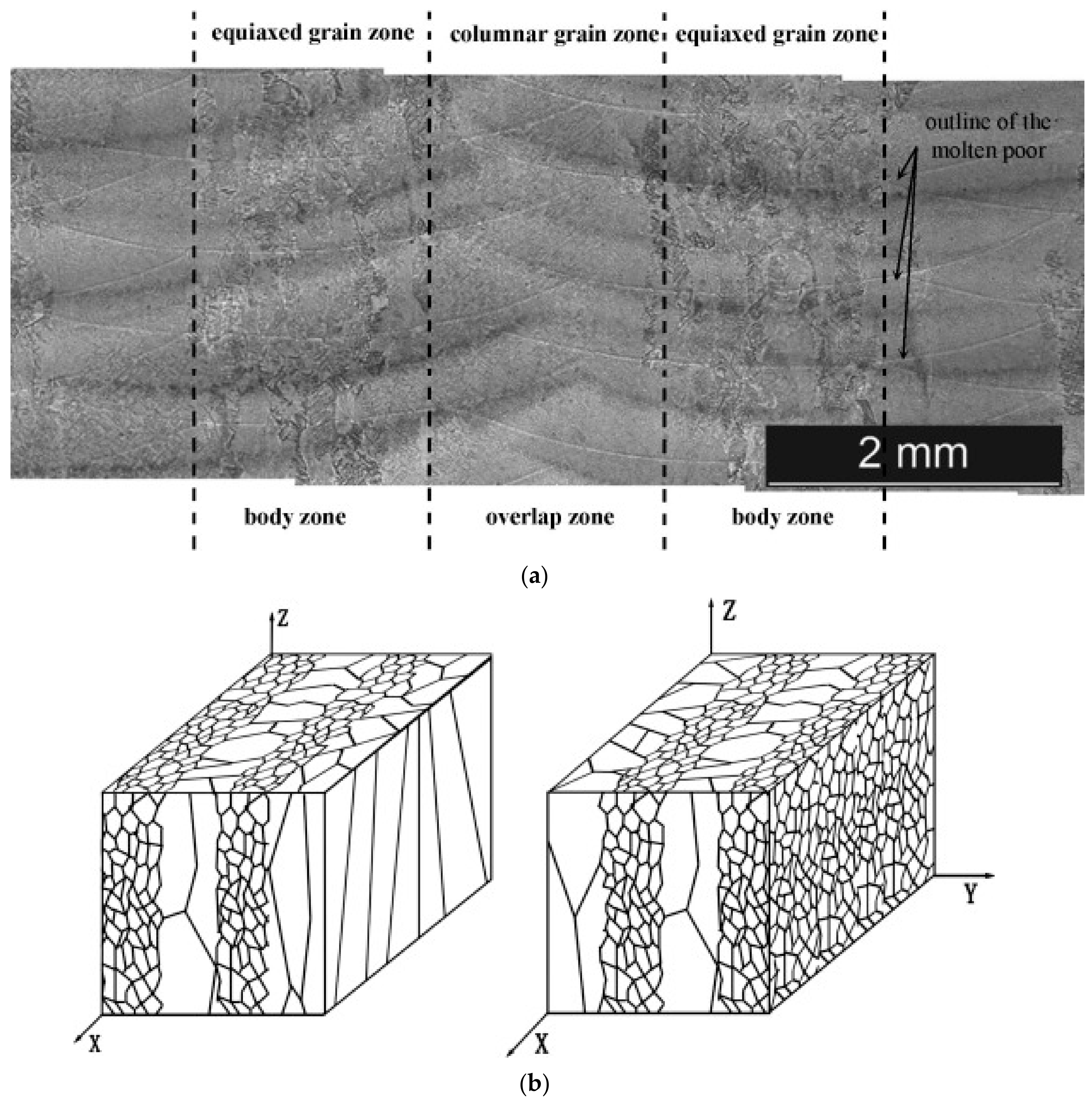deposition equiaxed microstructure additive manufacturing grains directional raster morphology transverse
