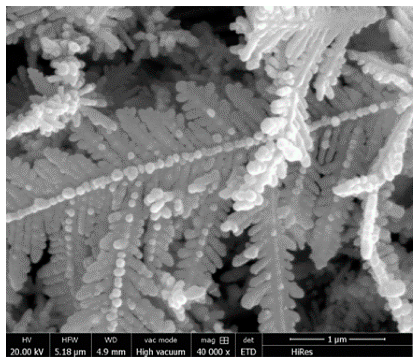 Applsci 07 00890 g003 550