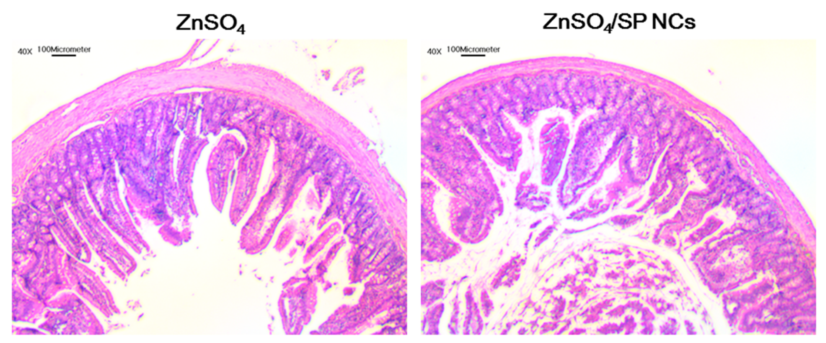 Applsci 07 00902 g007 550
