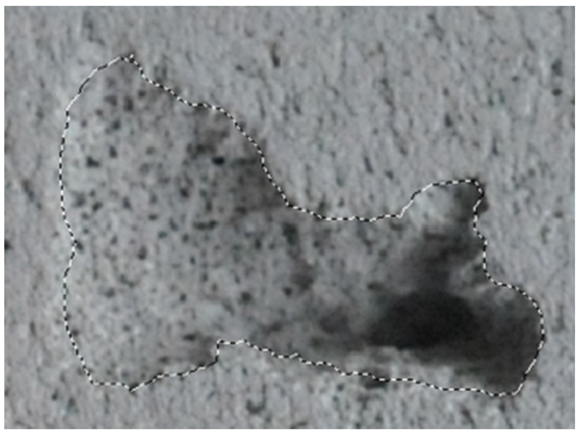 Applsci 07 00932 g005