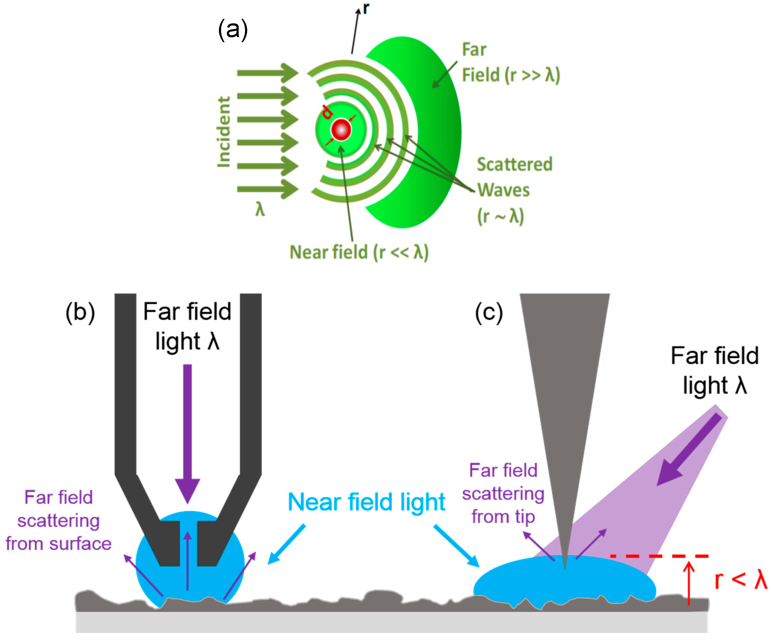 Far field. Near-field Microscope. Near and far field. Optical Antennas Scatters. Scattering of Light through the Iris.