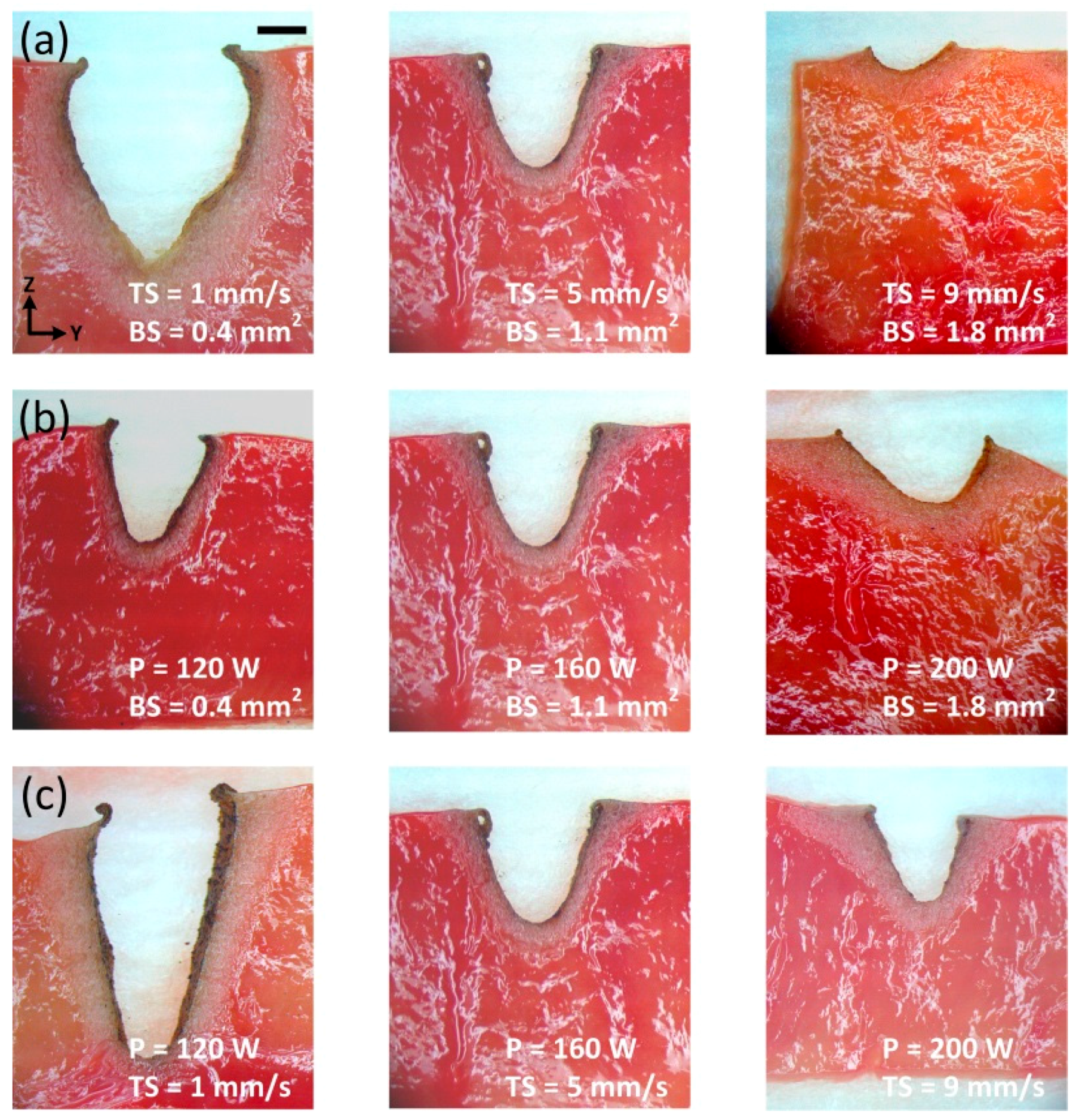 Applsci 07 00974 g003 550