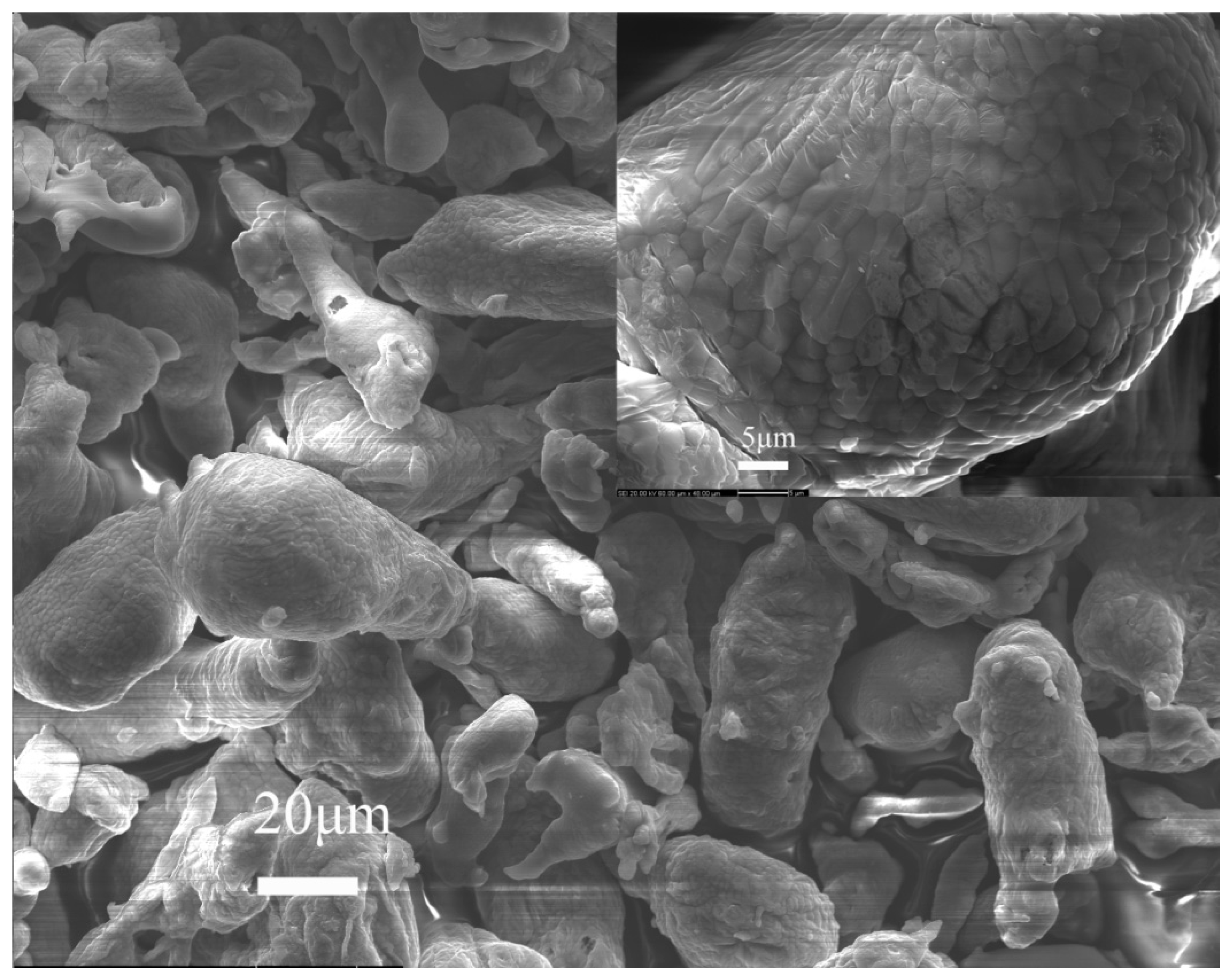 Applsci 07 01009 g002