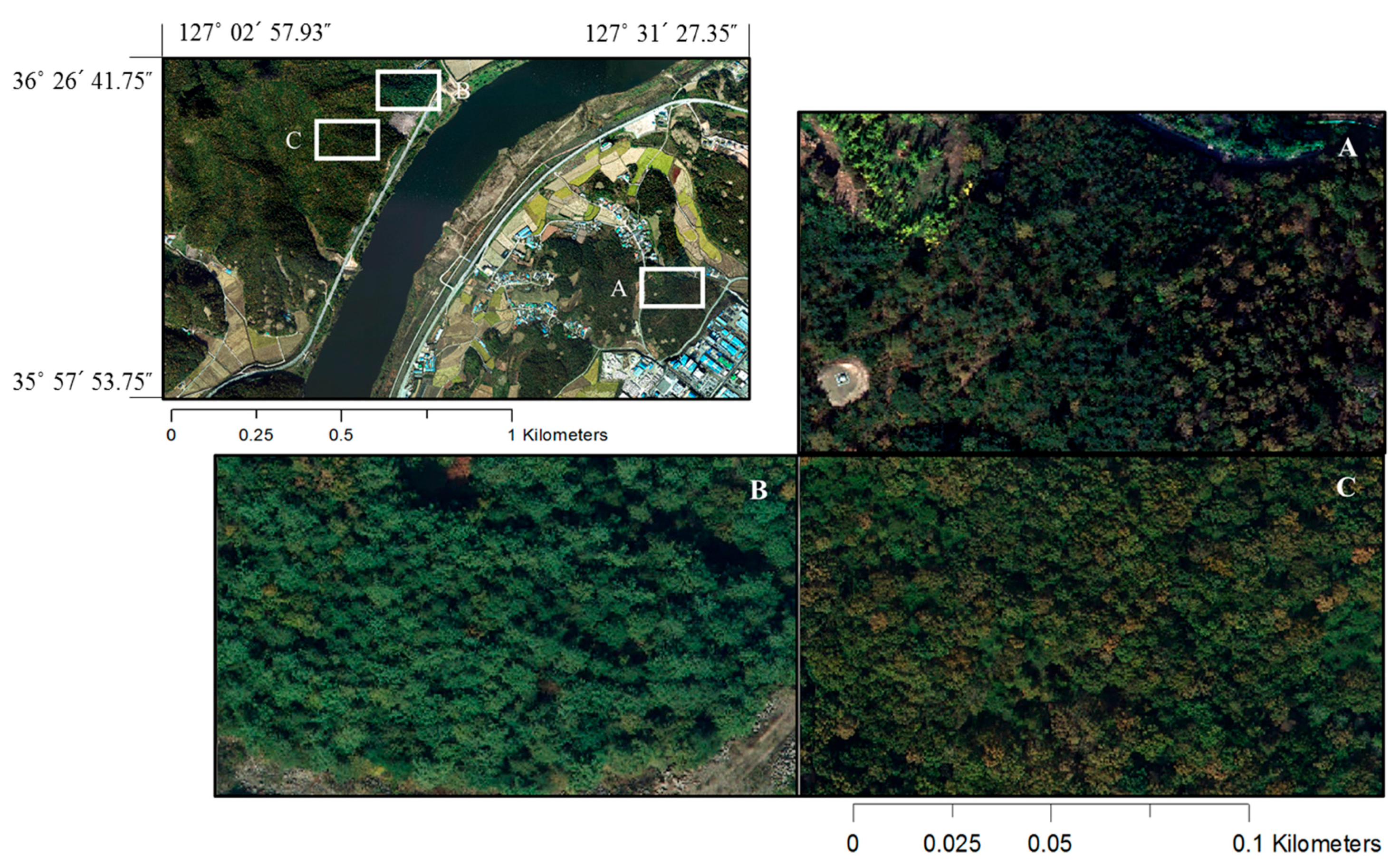 Applsci 07 01046 g003