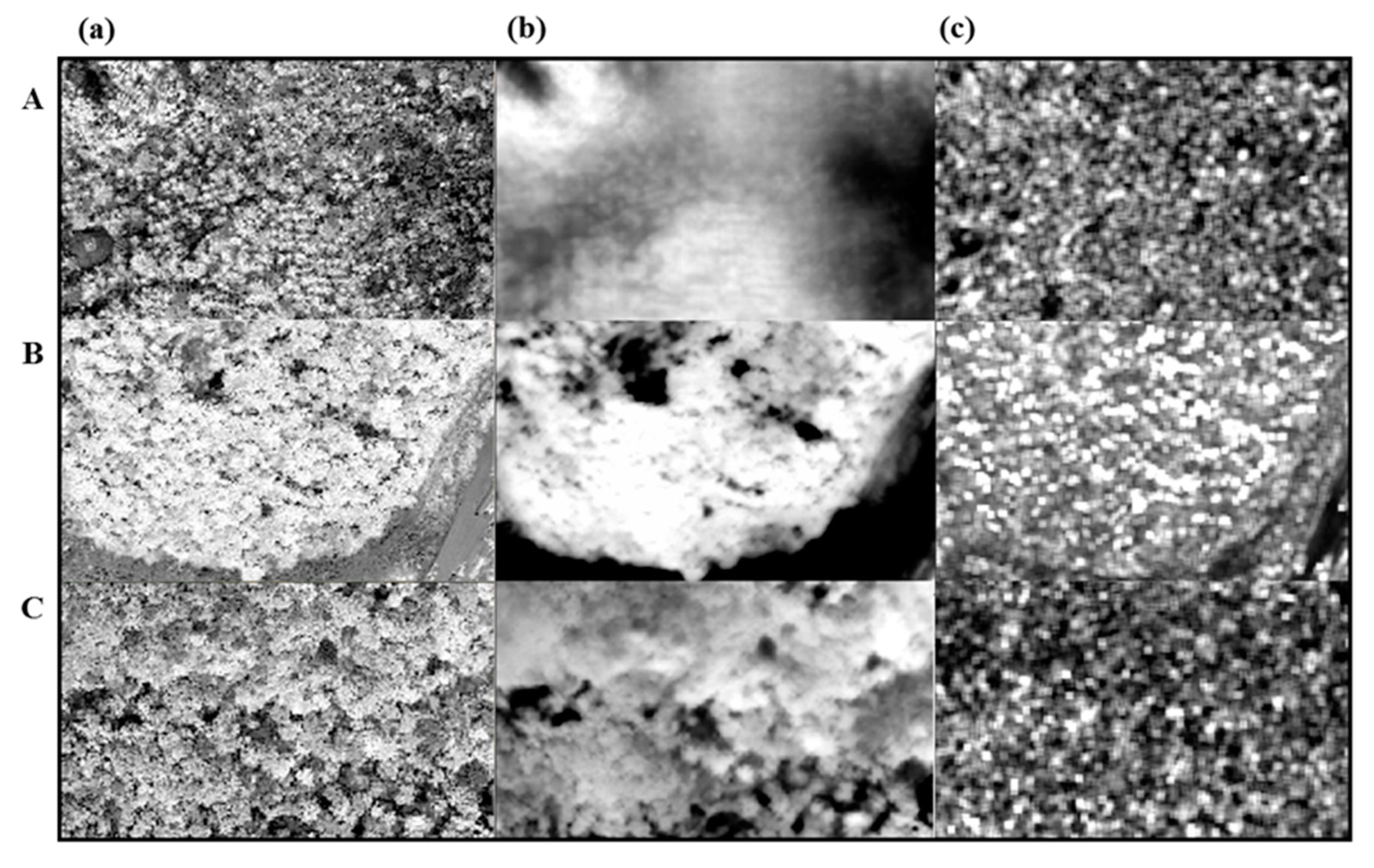 Applsci 07 01046 g006a