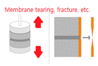 Applsci 07 01147 i016