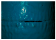 Applsci 07 01147 i017