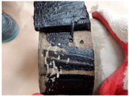 Applsci 07 01147 i038