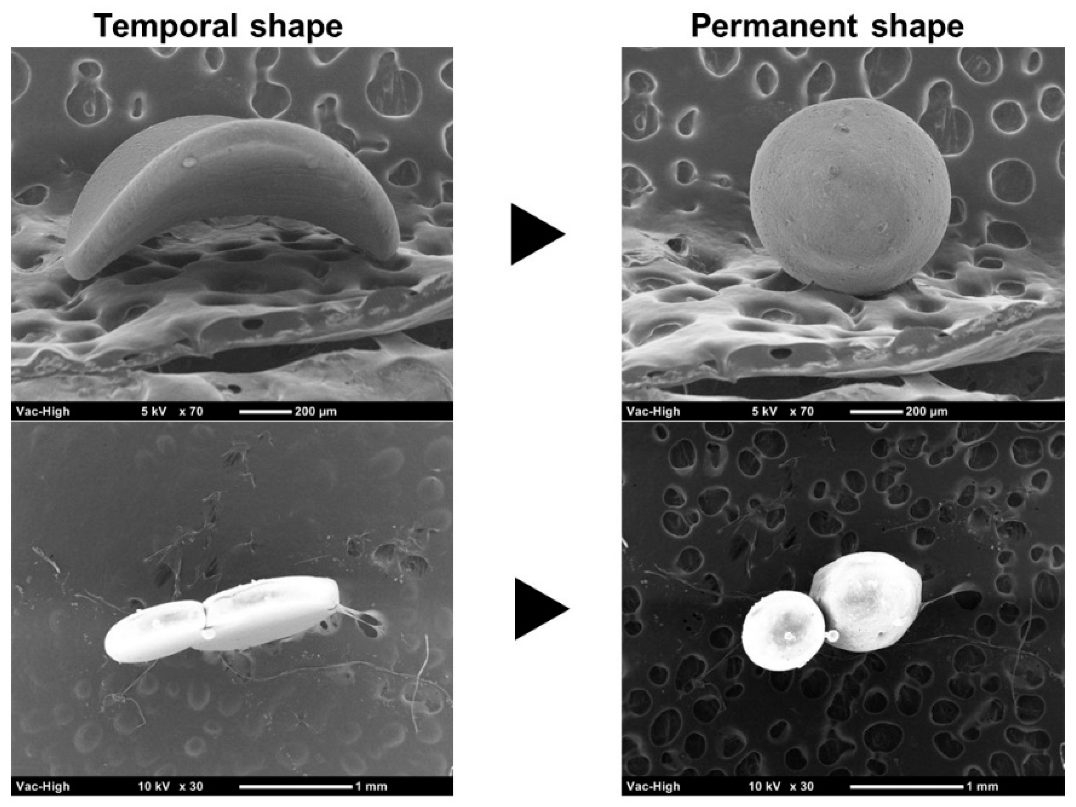 Applsci 07 01203 g003 550