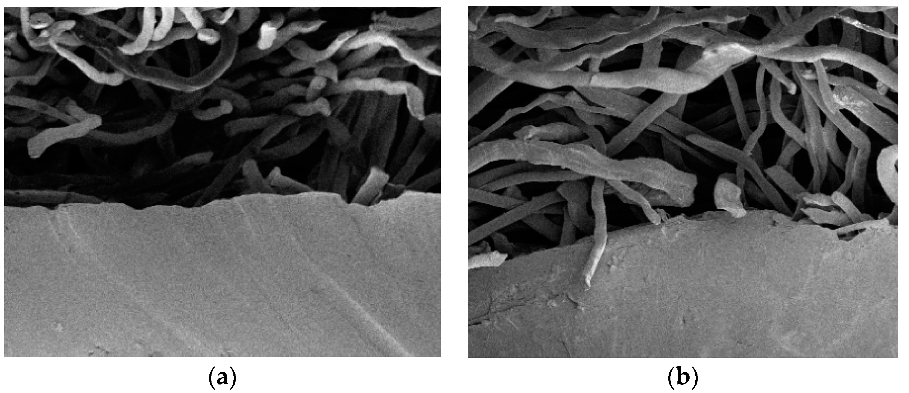 Applsci 07 01225 g008