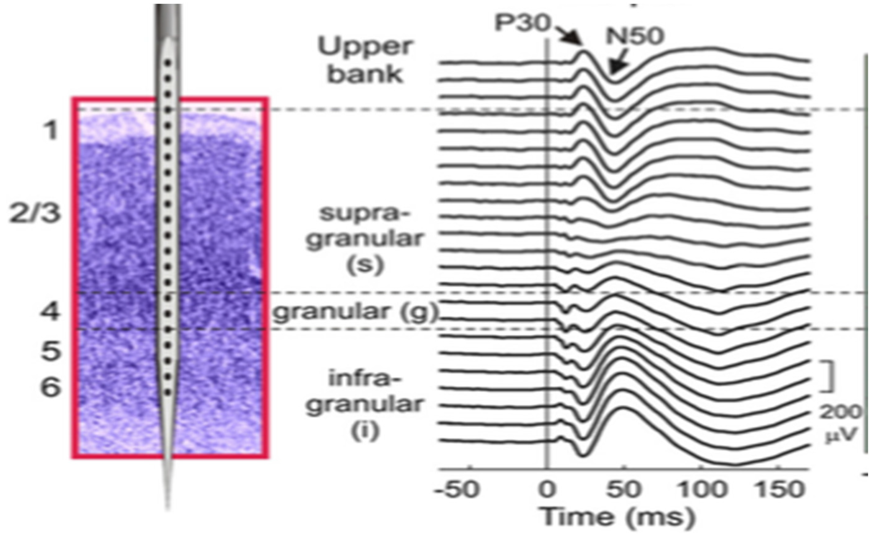 Applsci 07 01248 g003 Applsci 07 01248 g003