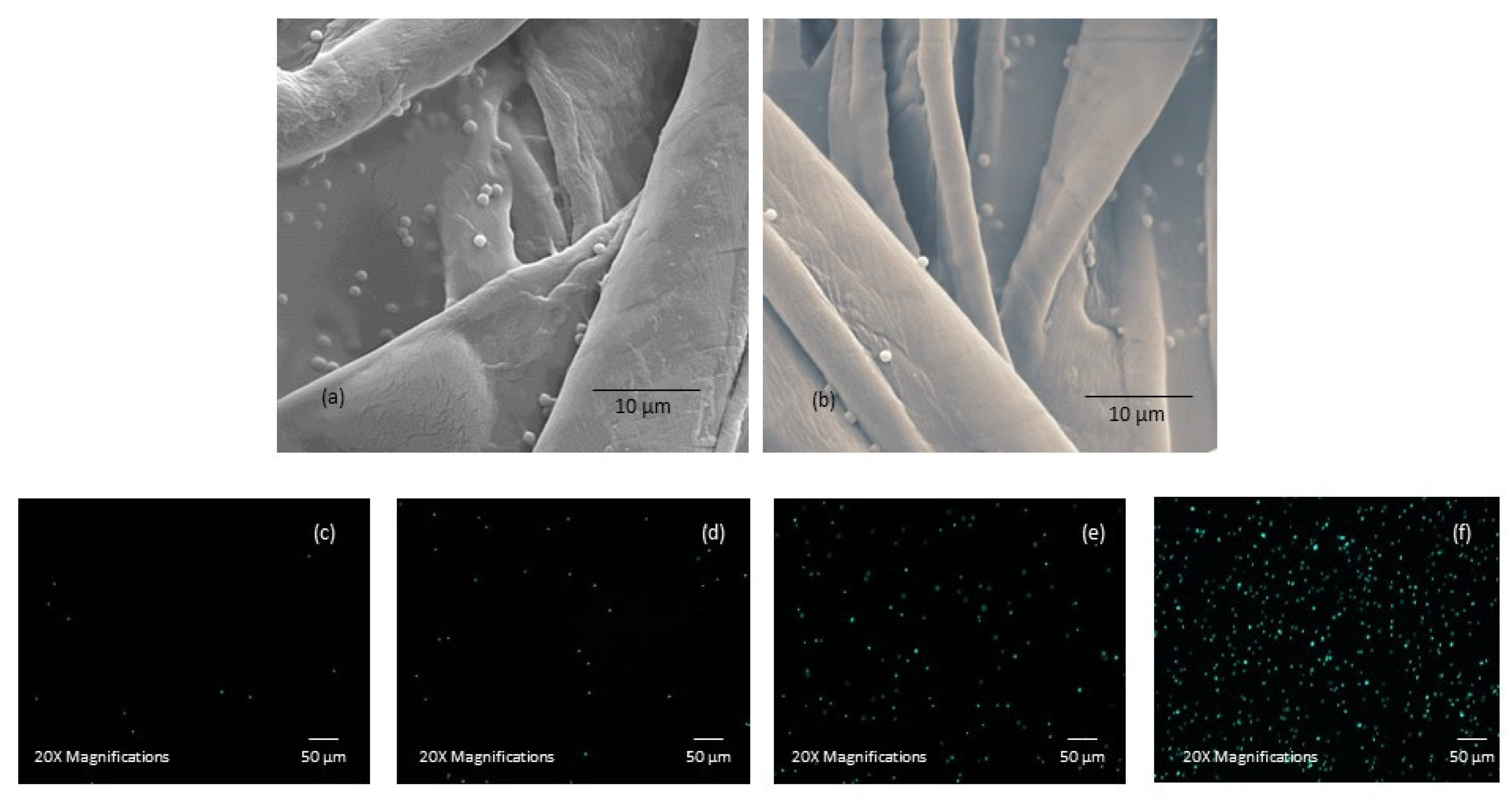 Applsci 07 01255 g004 550