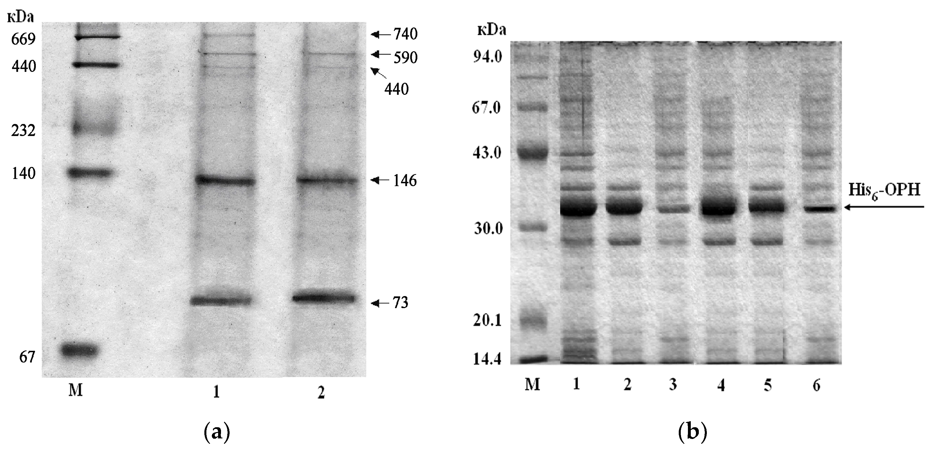 Applsci 07 01305 g004 Applsci 07 01305 g004