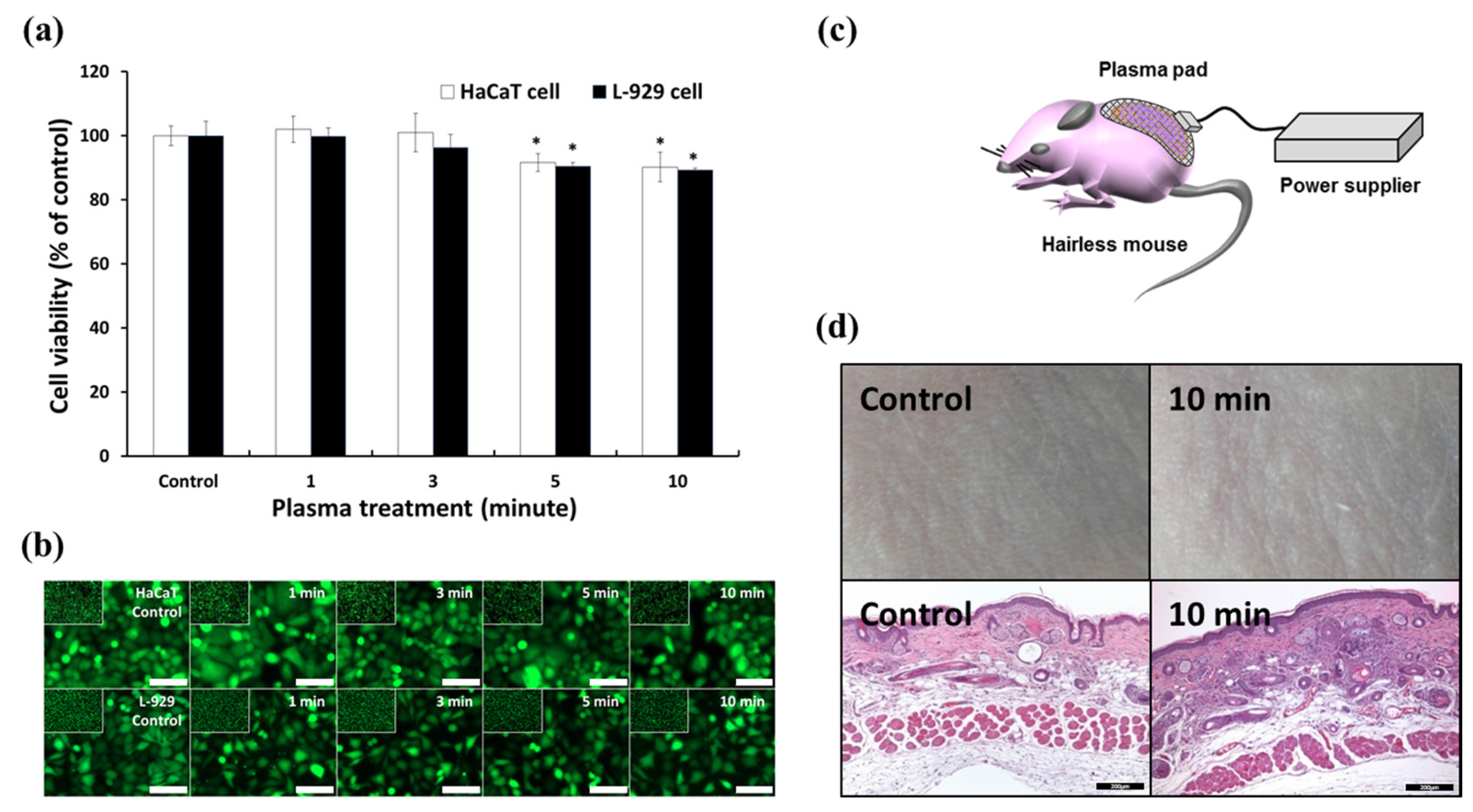 Applsci 07 01308 g004 550