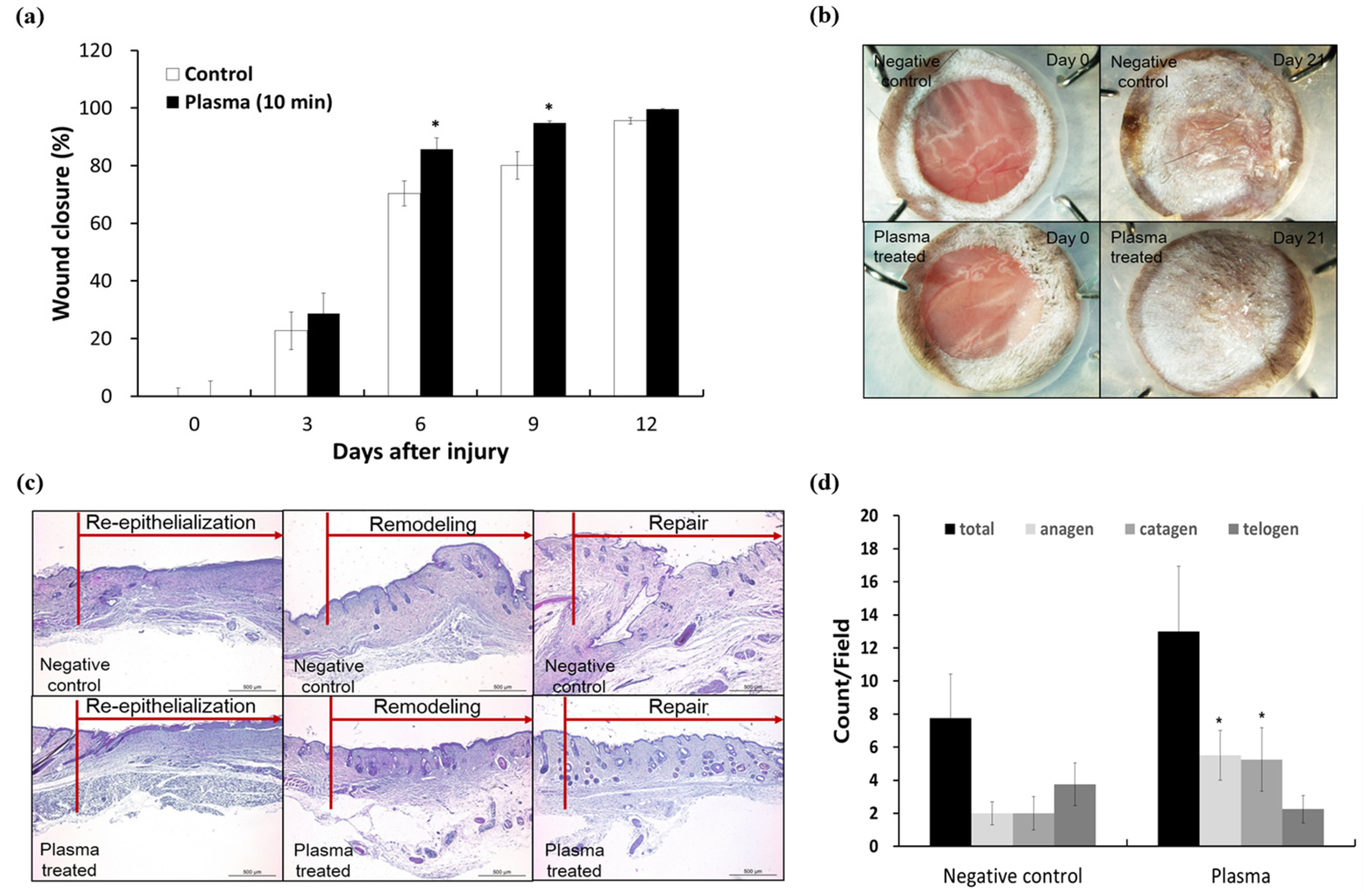 Applsci 07 01308 g006 550