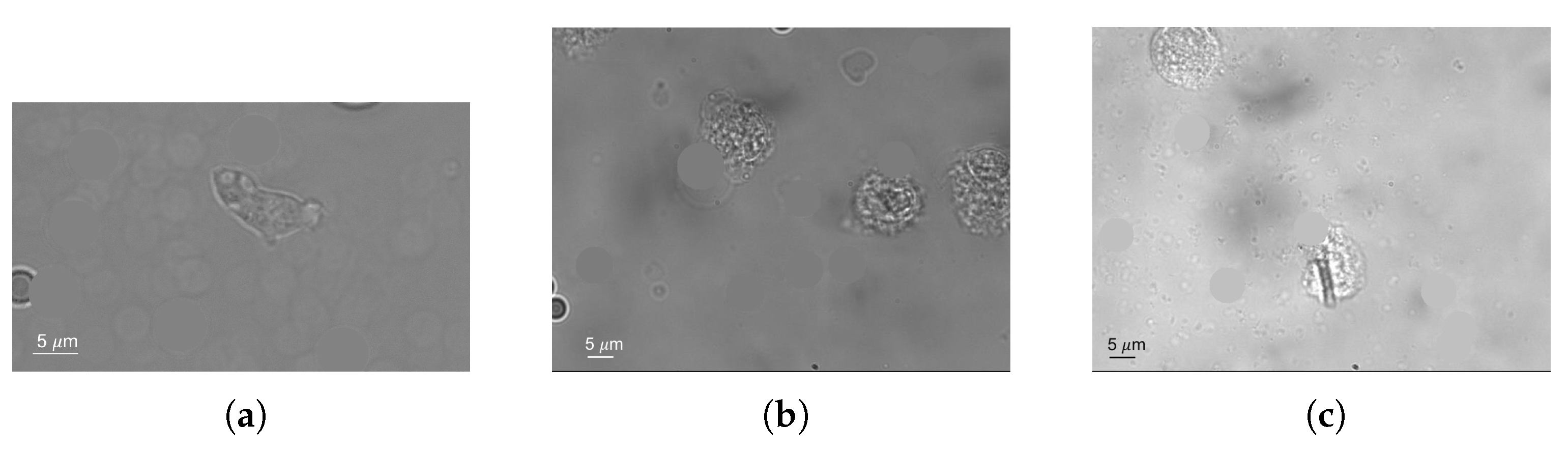 Applsci 07 01327 g007