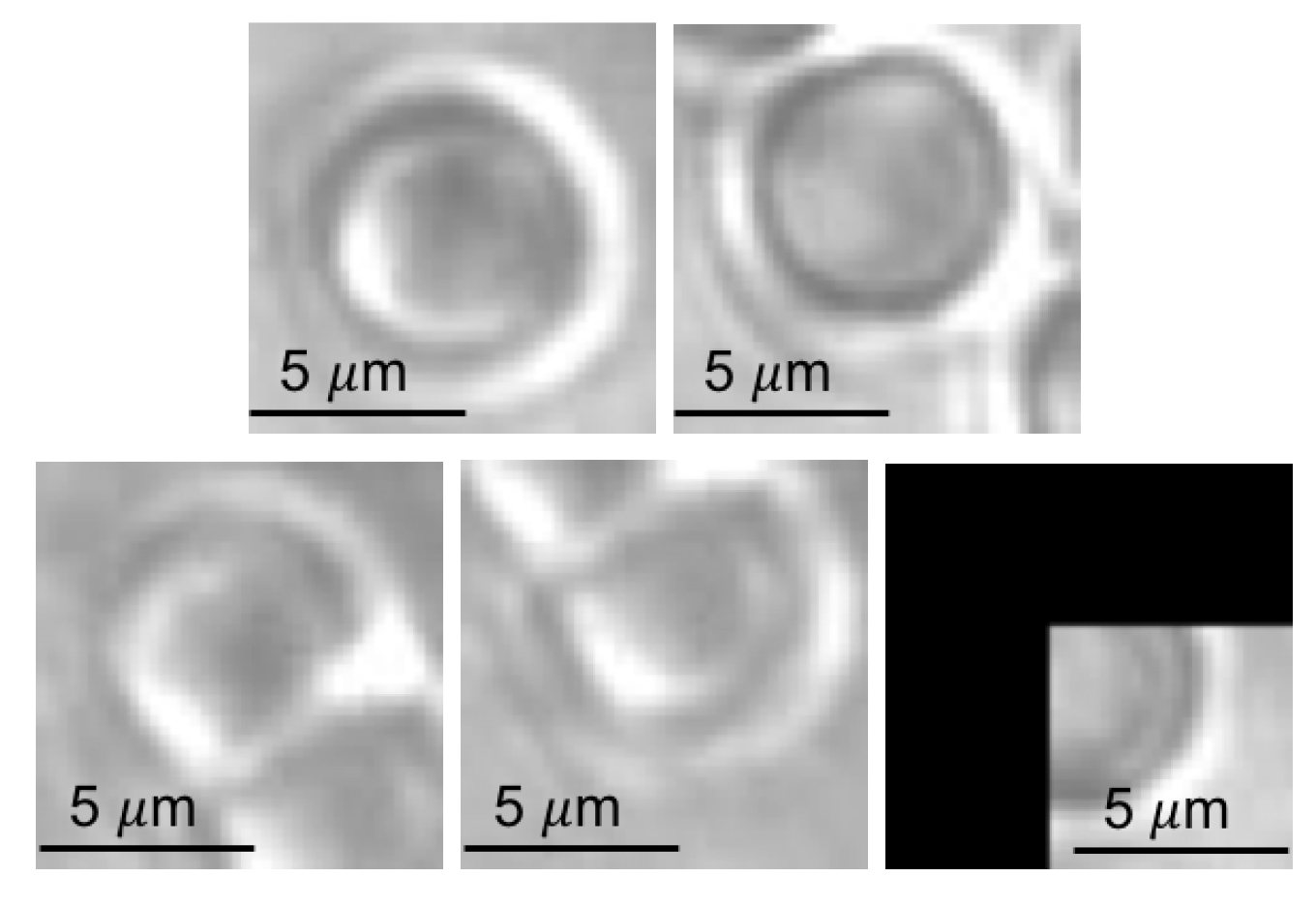 Applsci 07 01327 g017